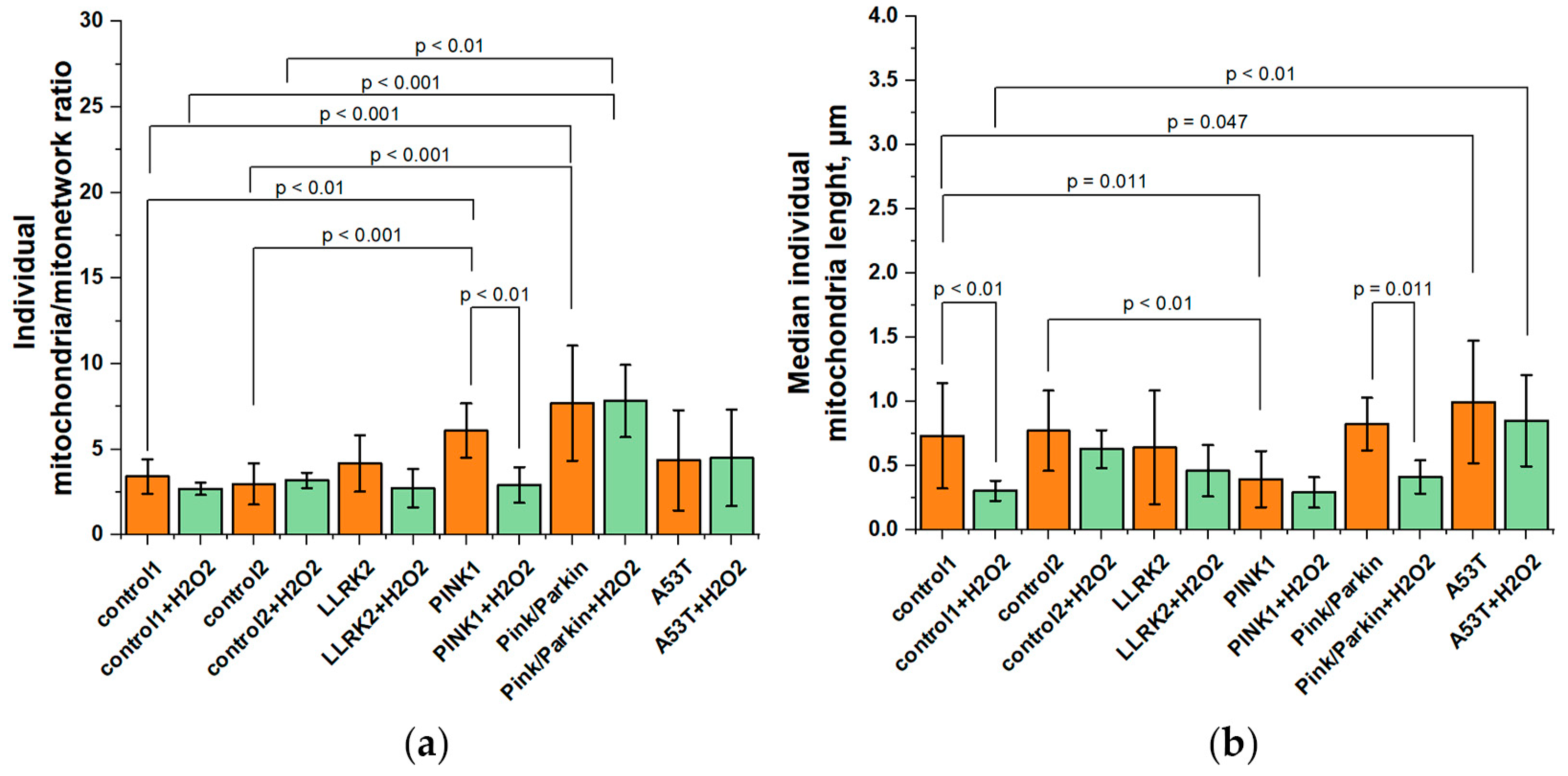 Preprints 92916 g004