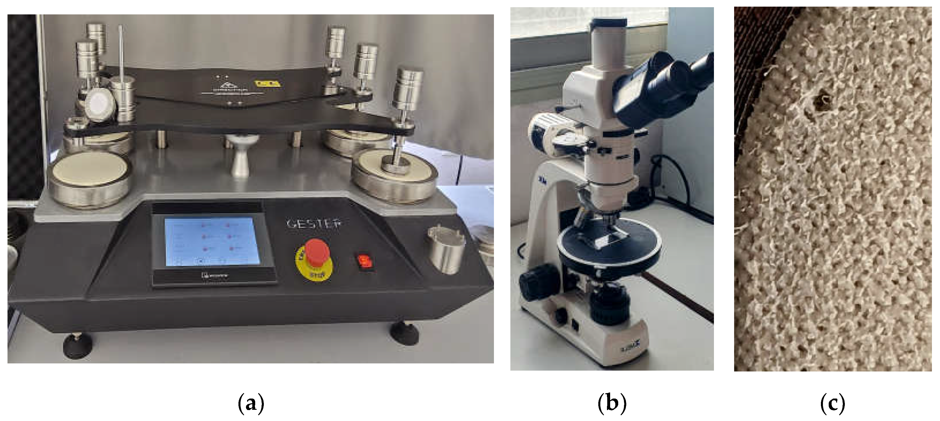 Preprints 112971 g001