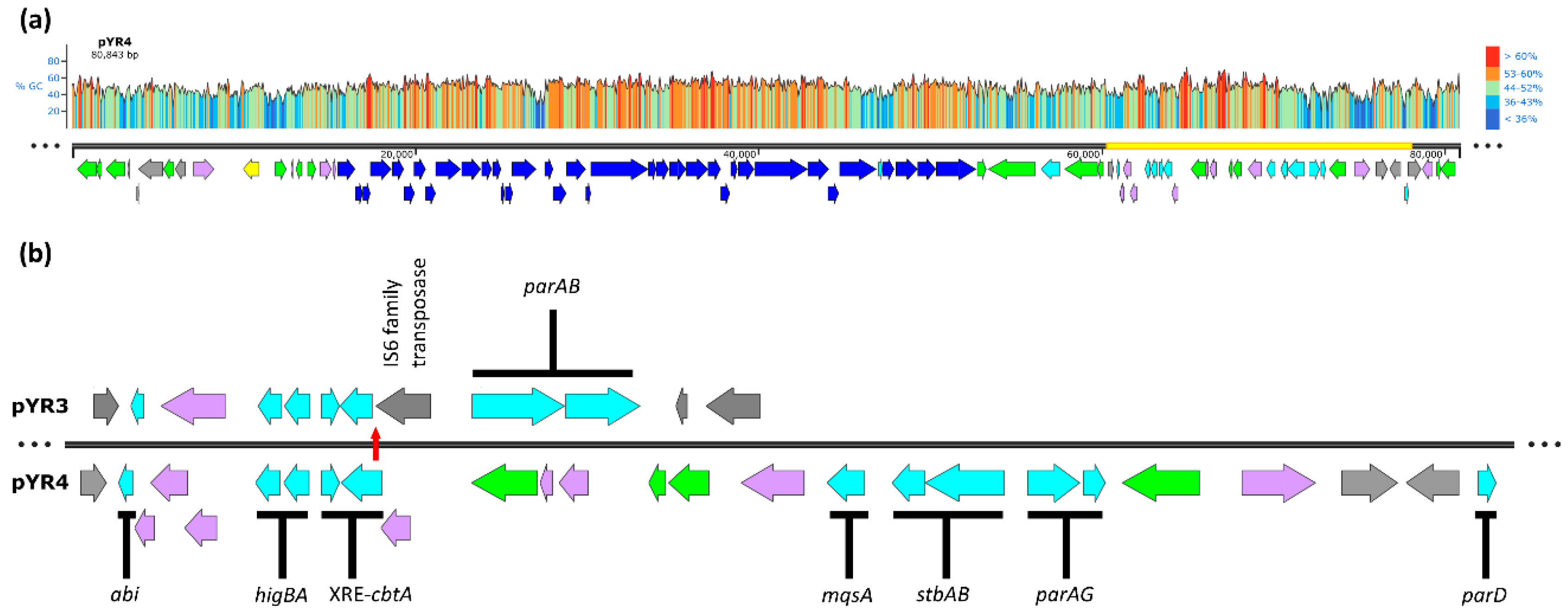 Preprints 112675 g001