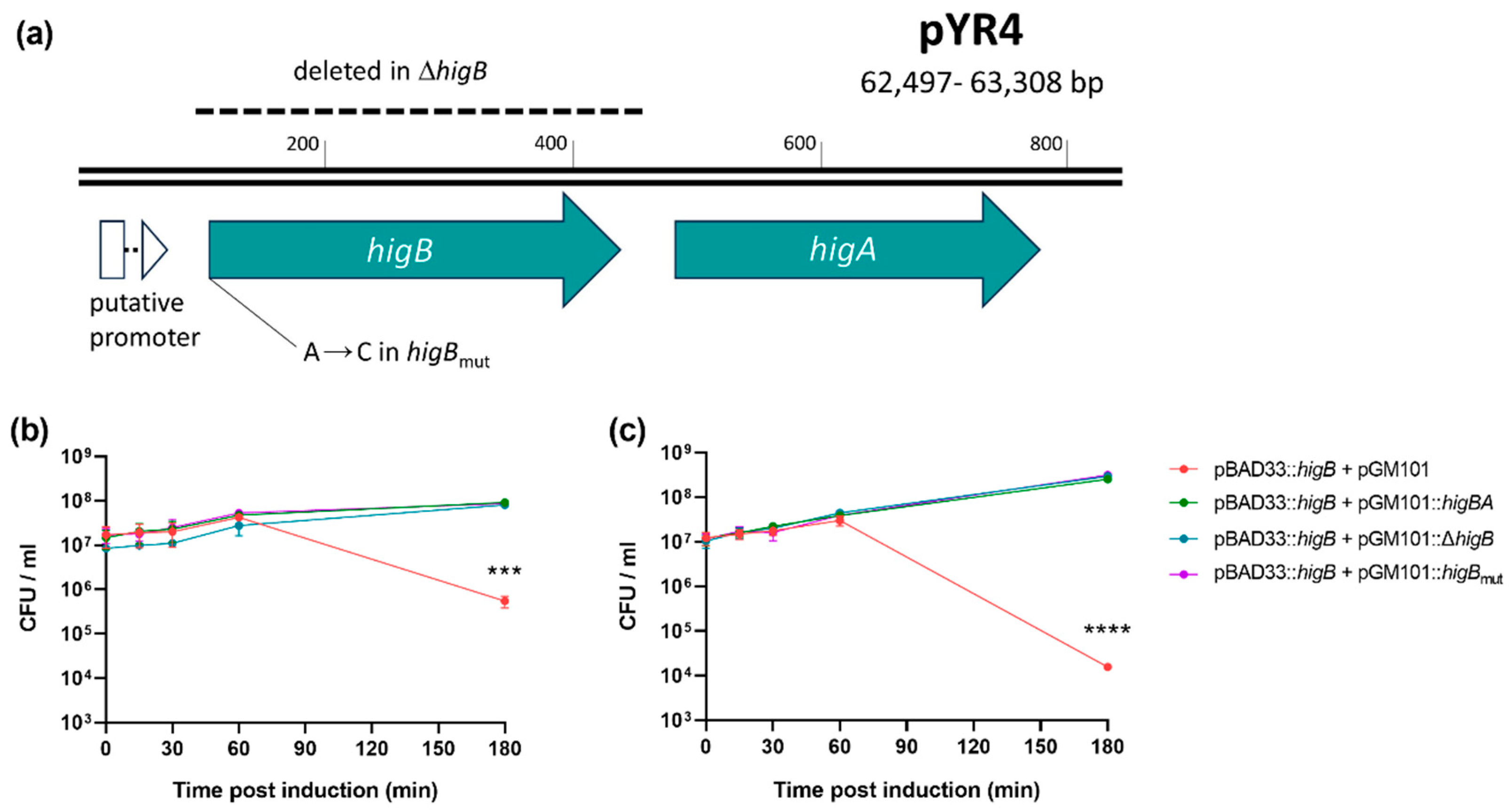 Preprints 112675 g002