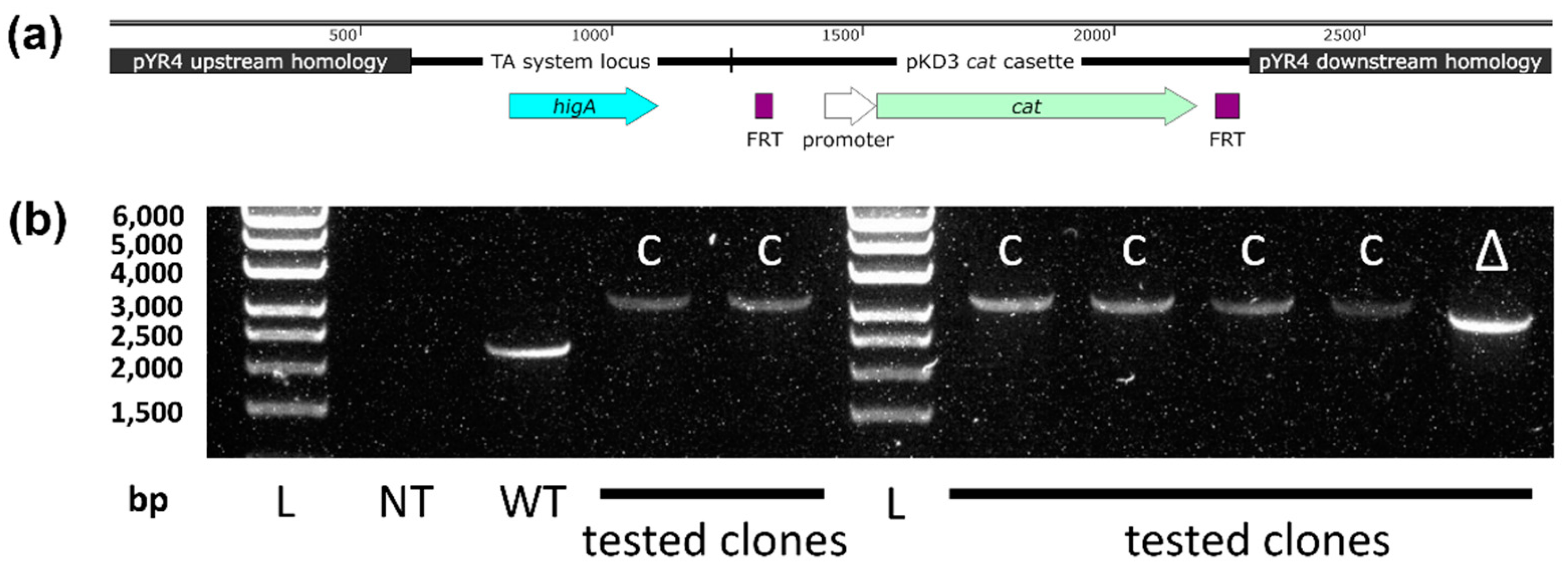 Preprints 112675 g0a1