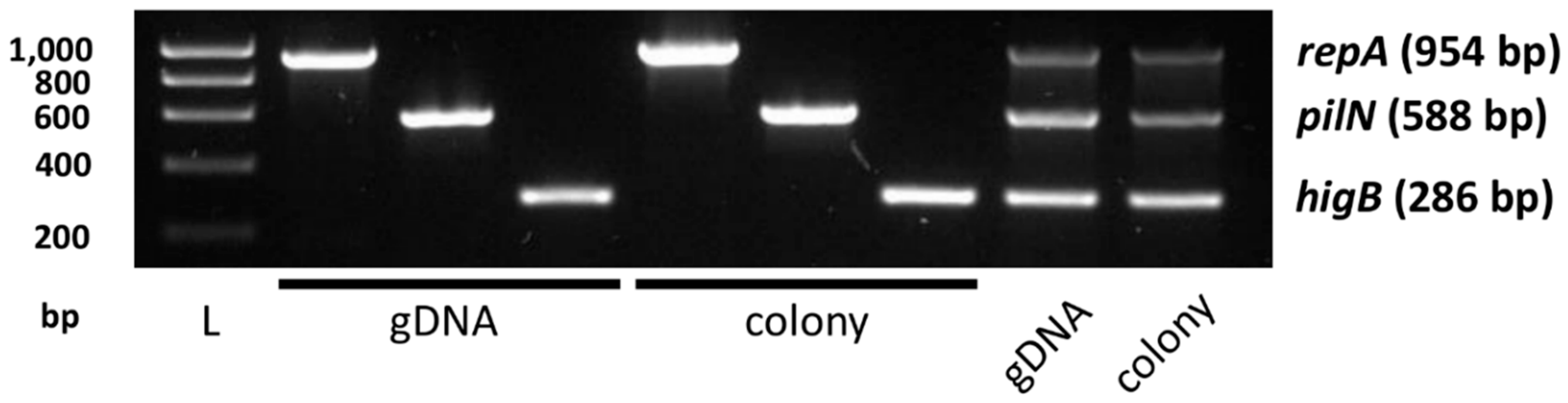 Preprints 112675 g0a2