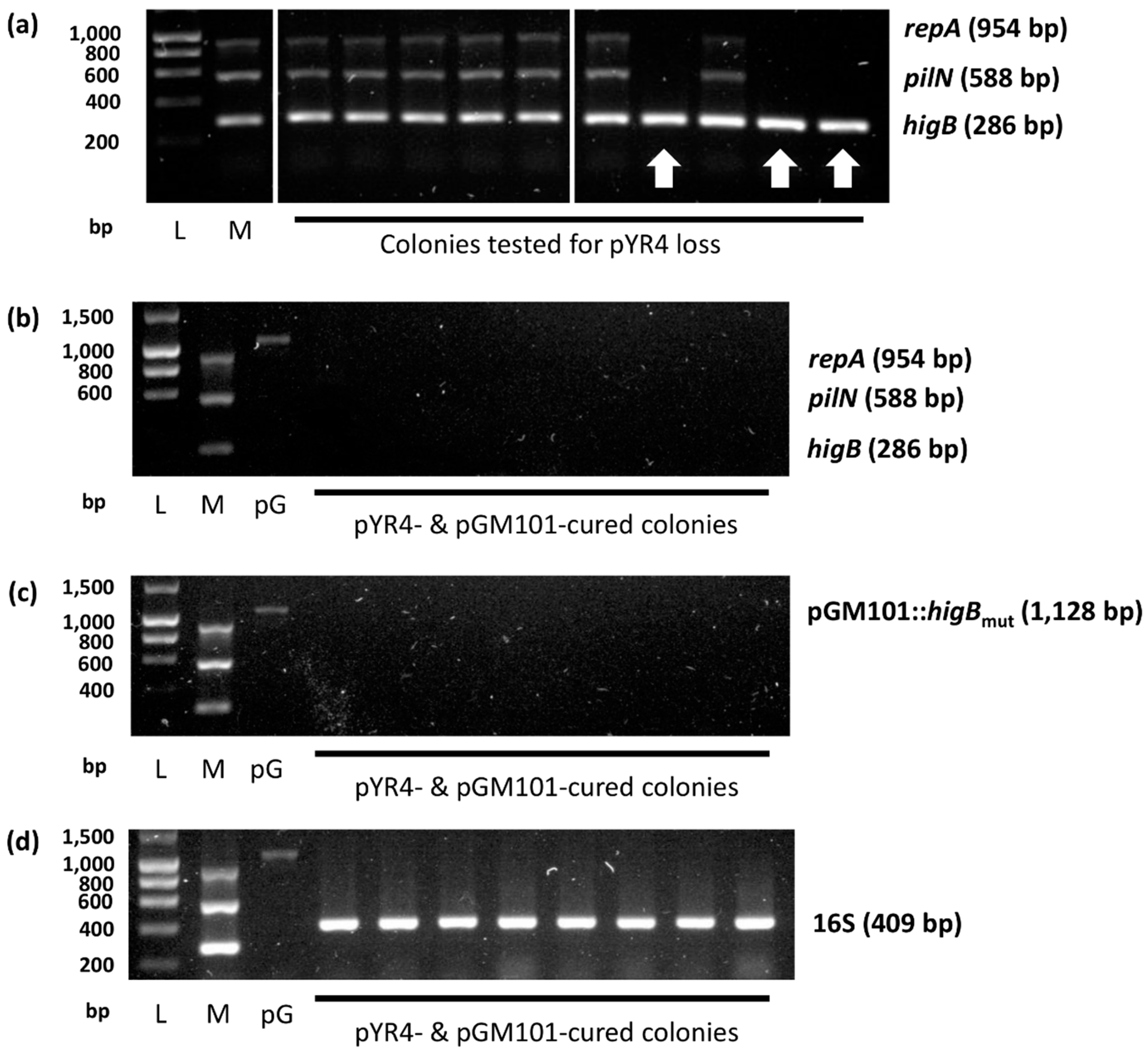 Preprints 112675 g0a3