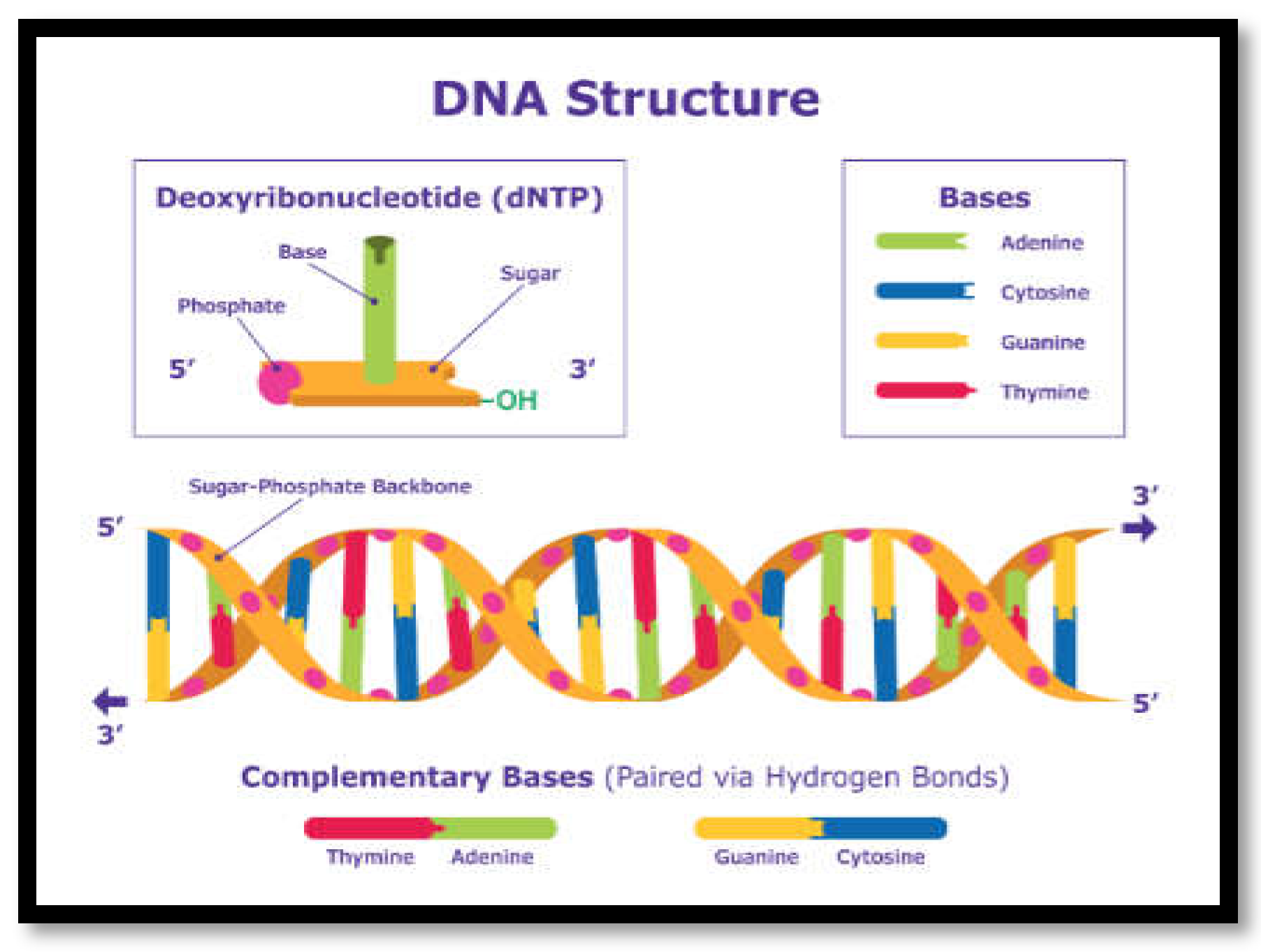 Preprints 115843 g001