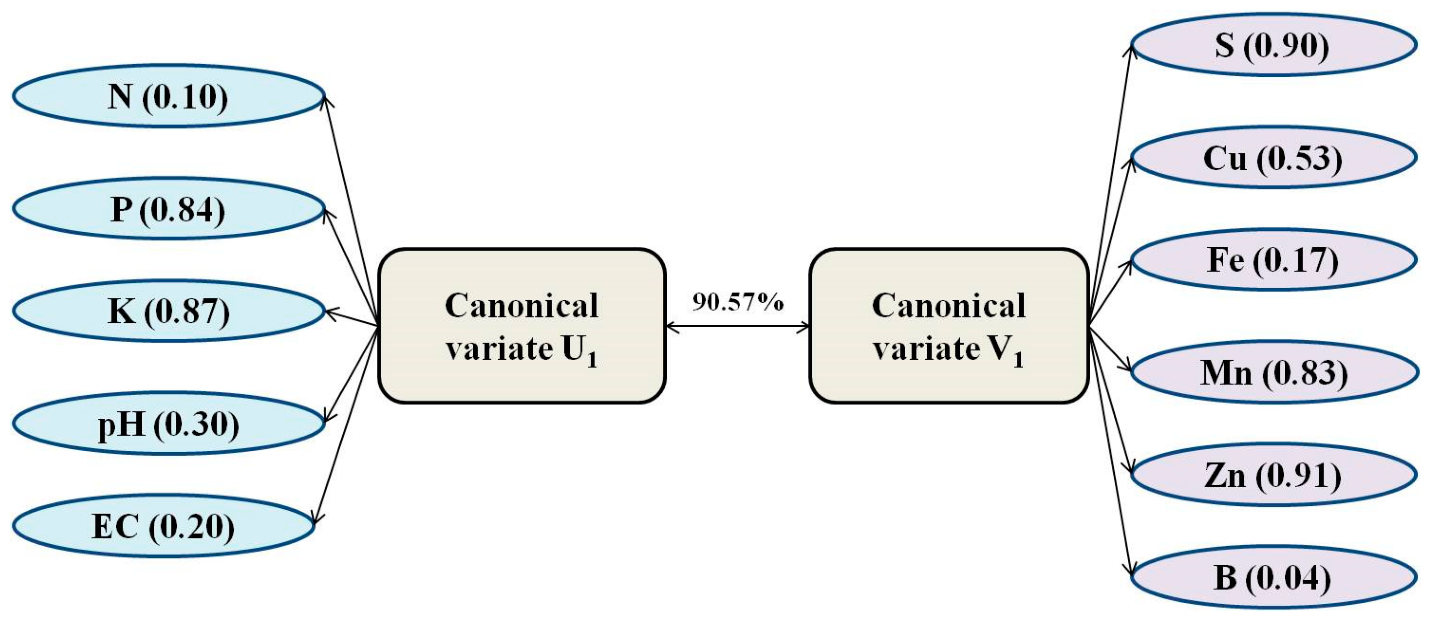 Preprints 82130 g007