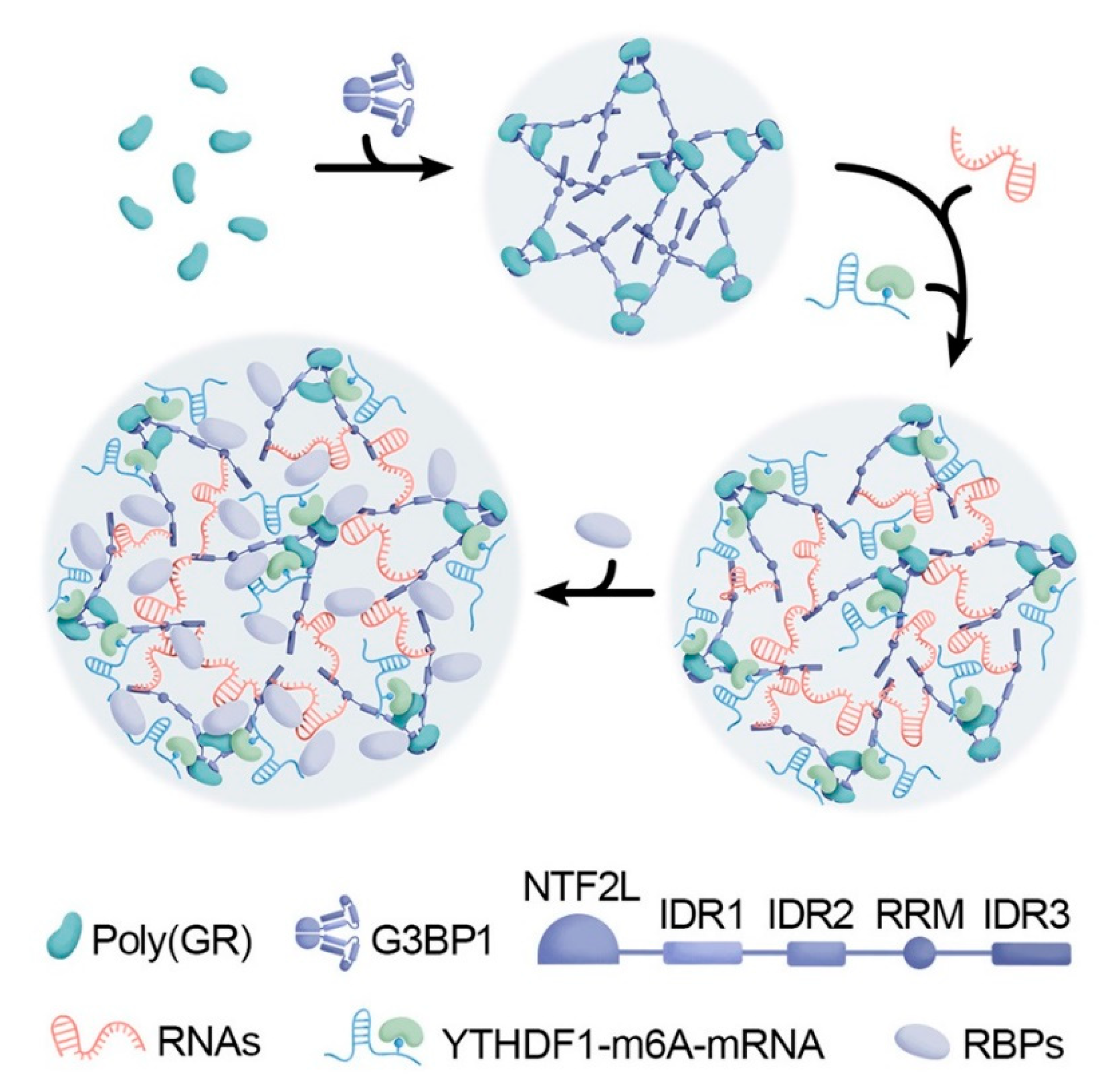 Preprints 88766 g003