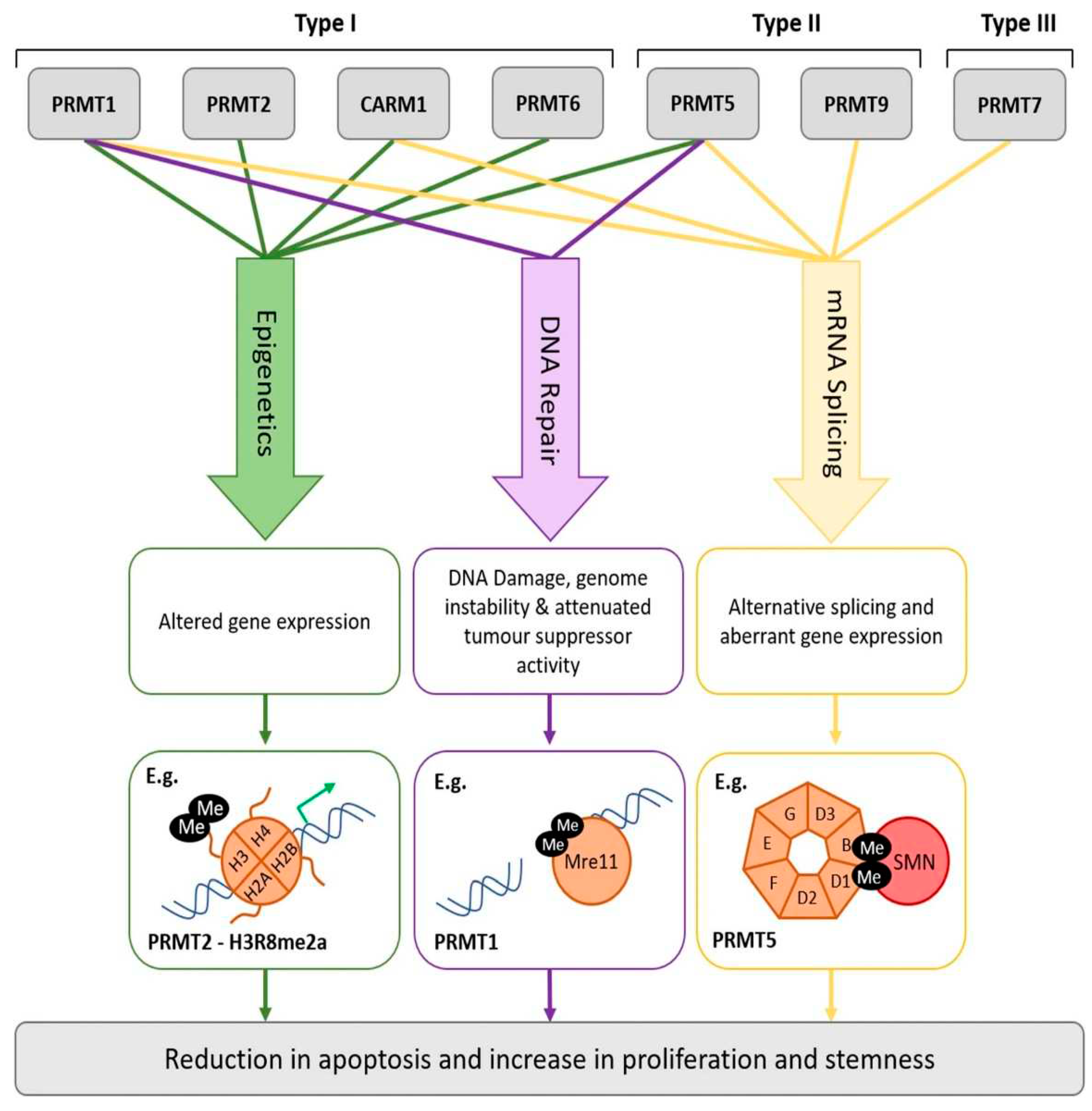 Preprints 88766 g005