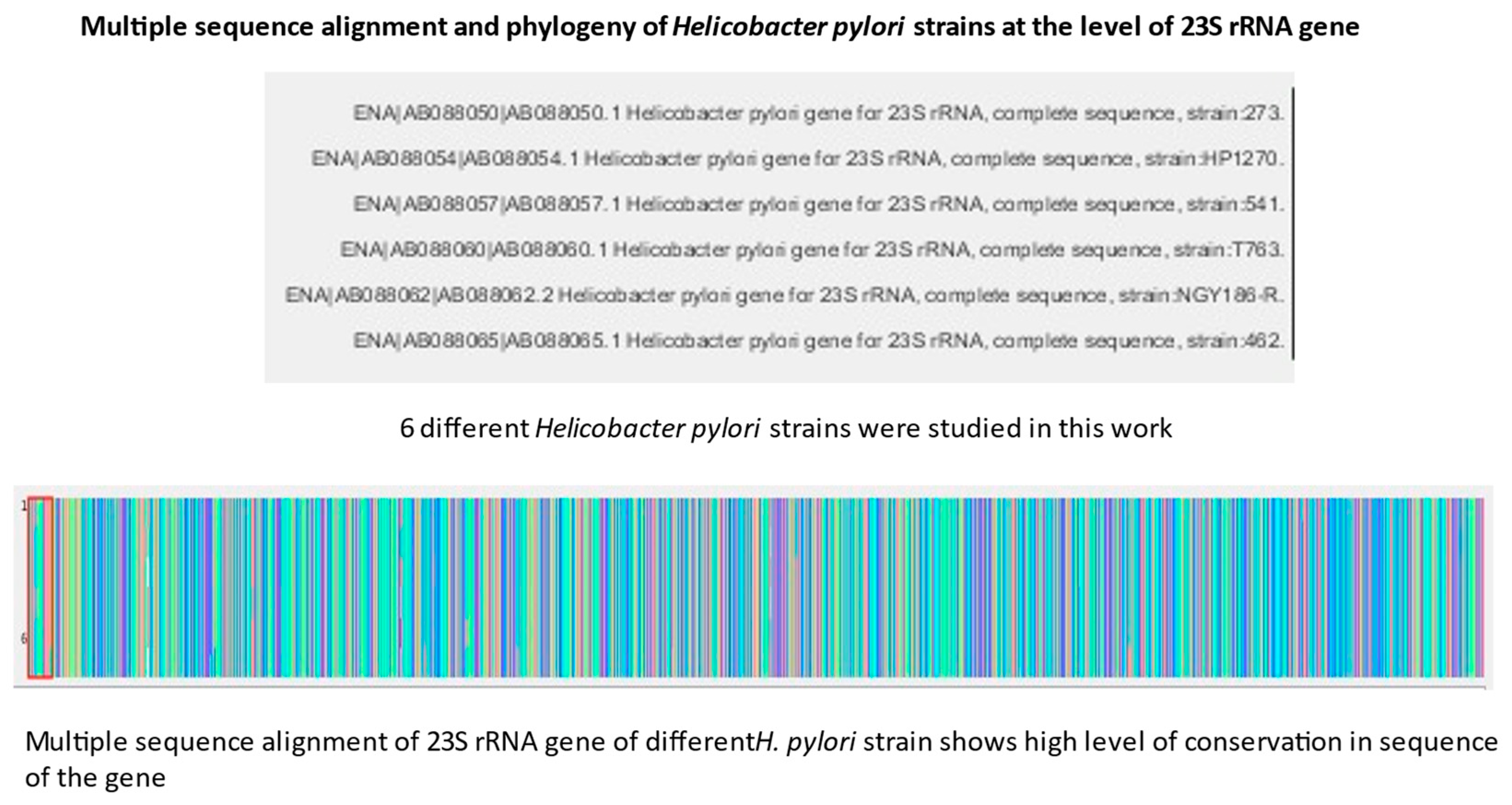 Preprints 79069 g001