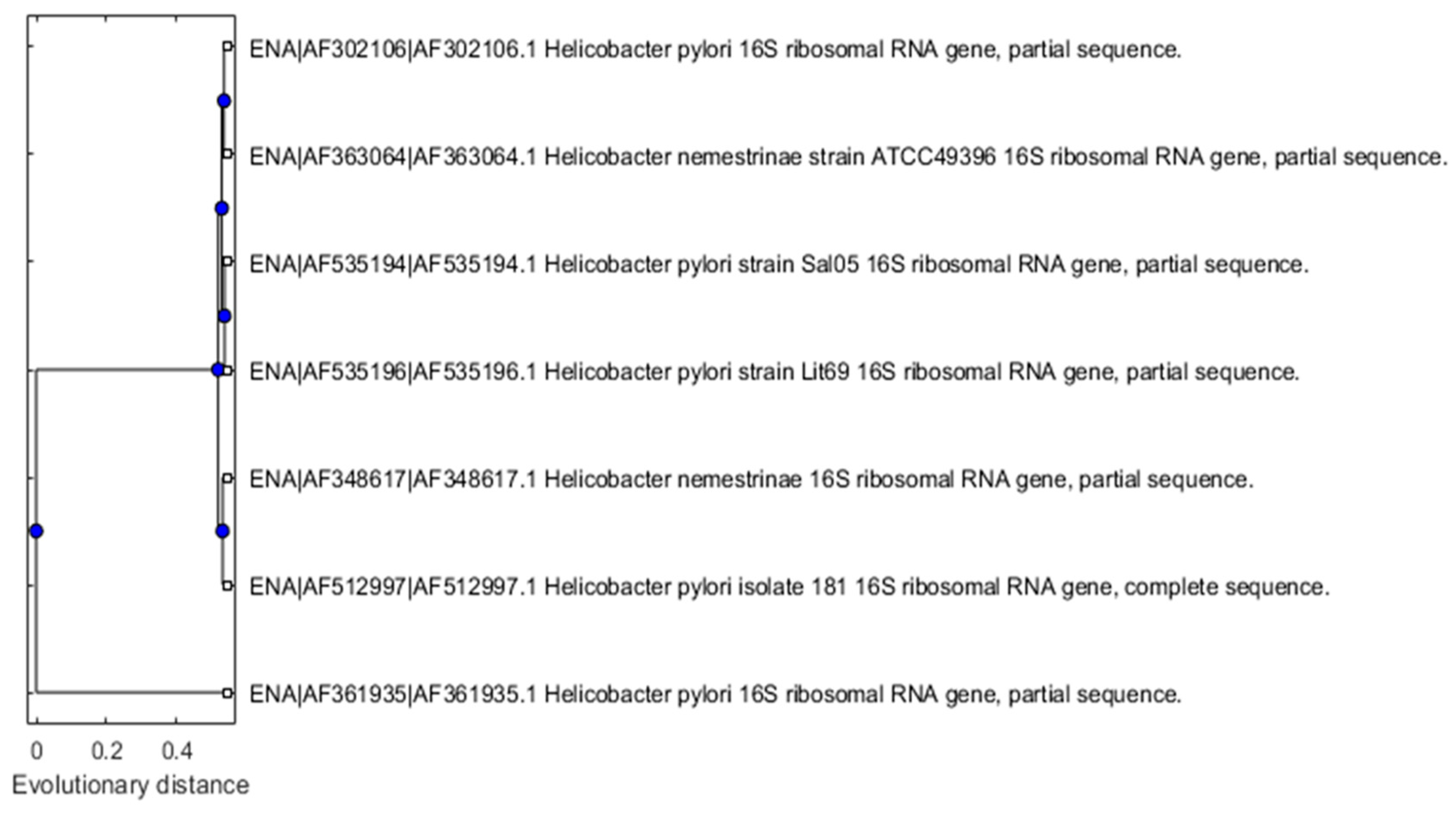 Preprints 79069 g003