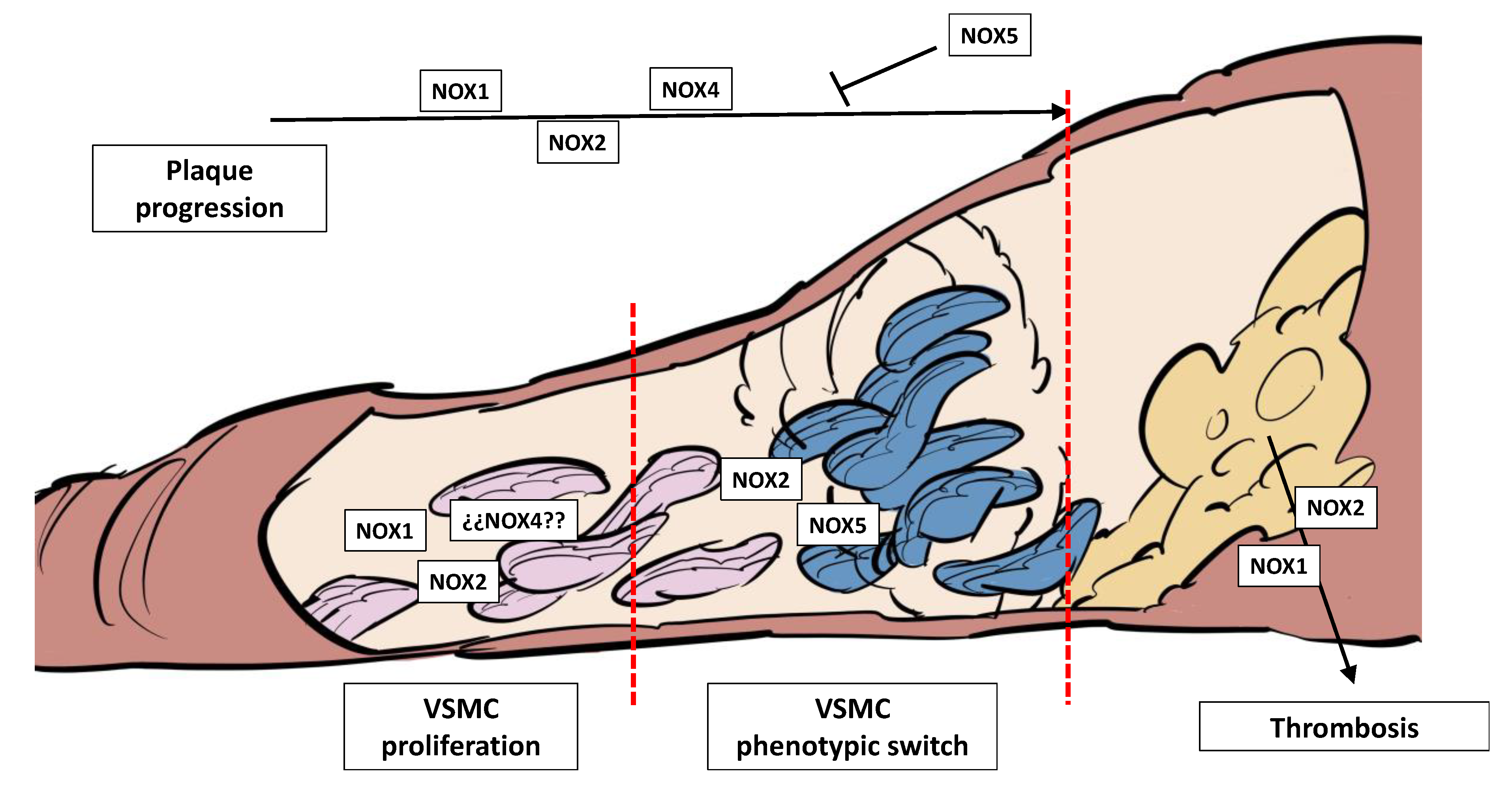 Preprints 113406 g004