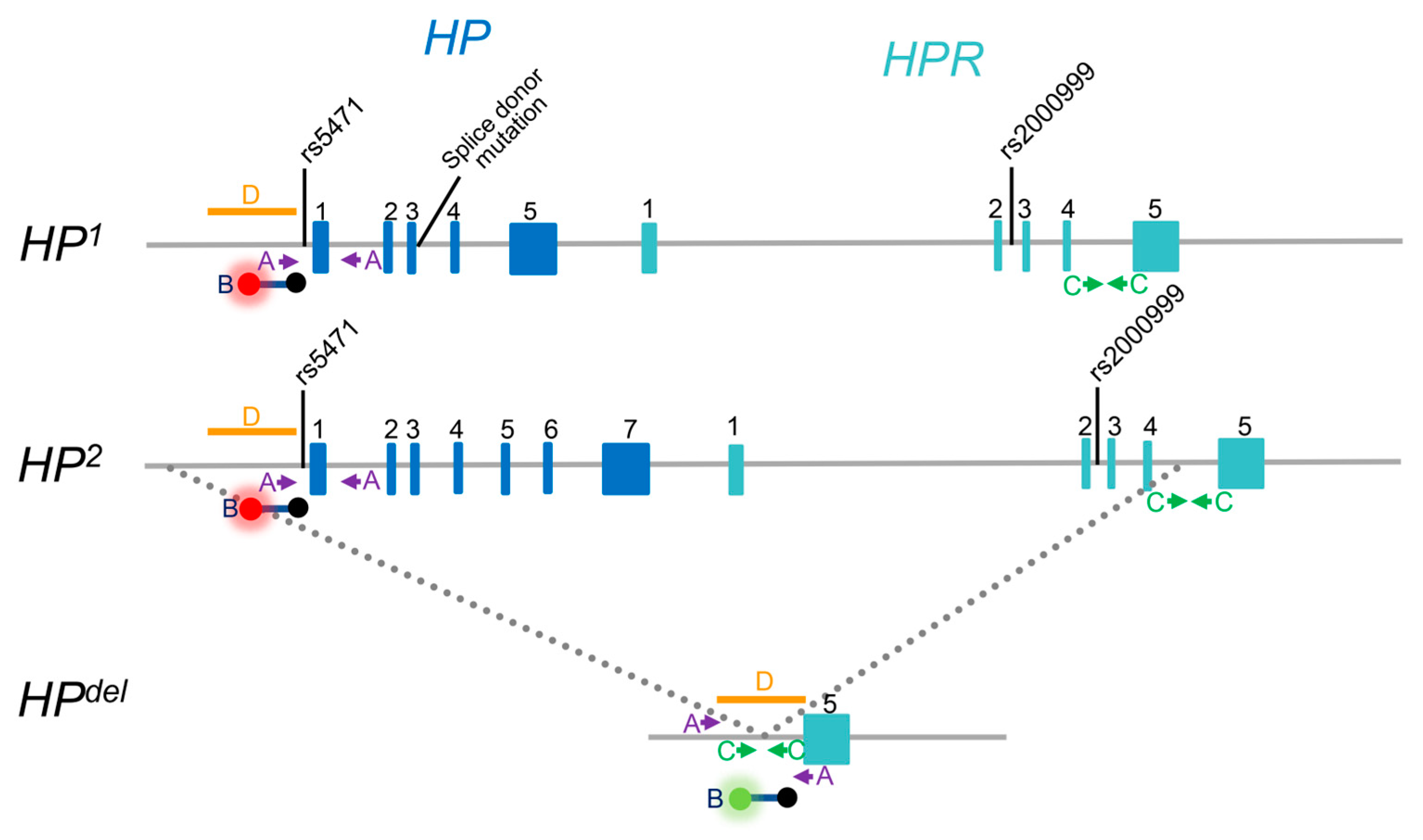 Preprints 100248 g001