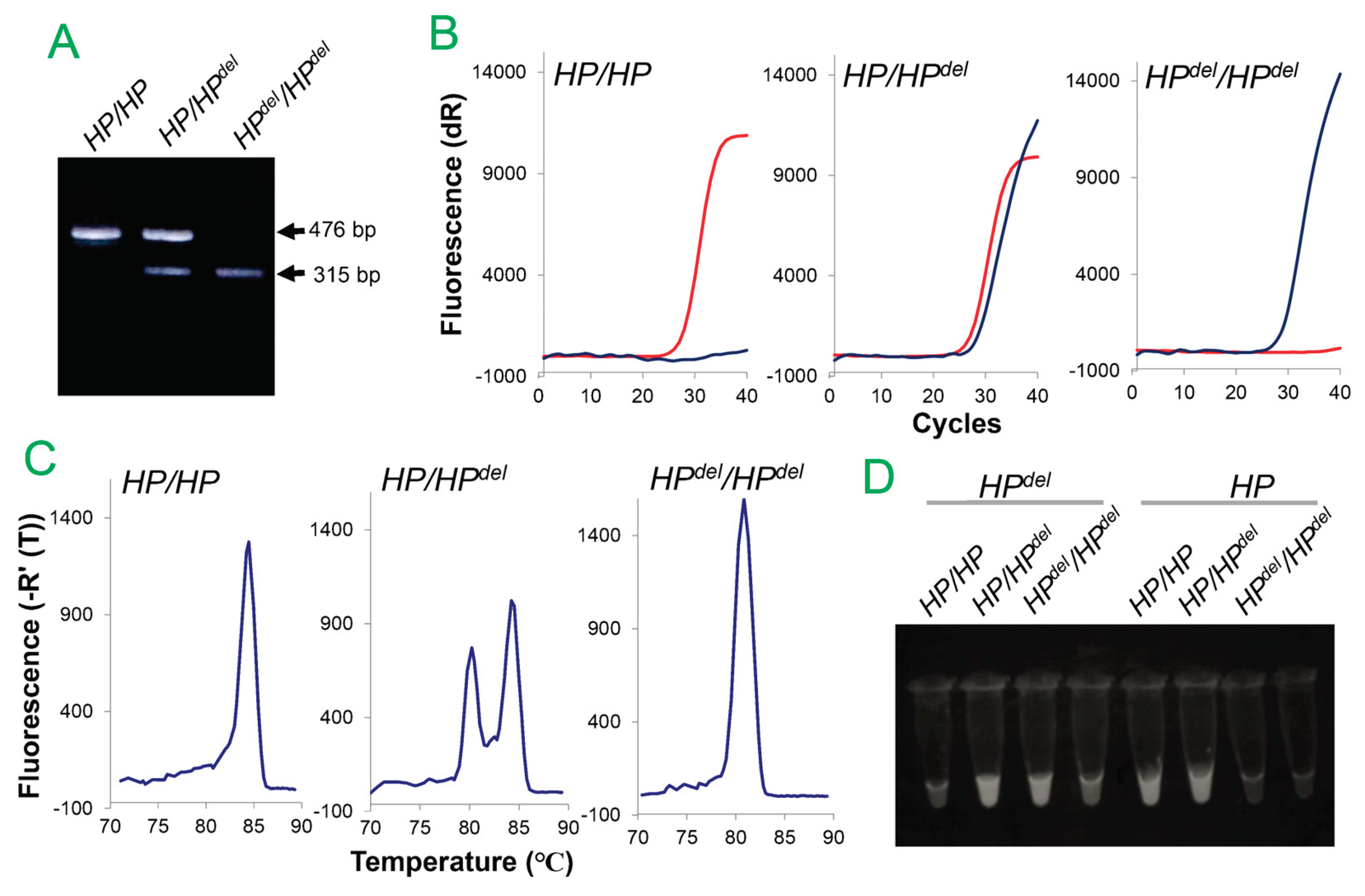 Preprints 100248 g004