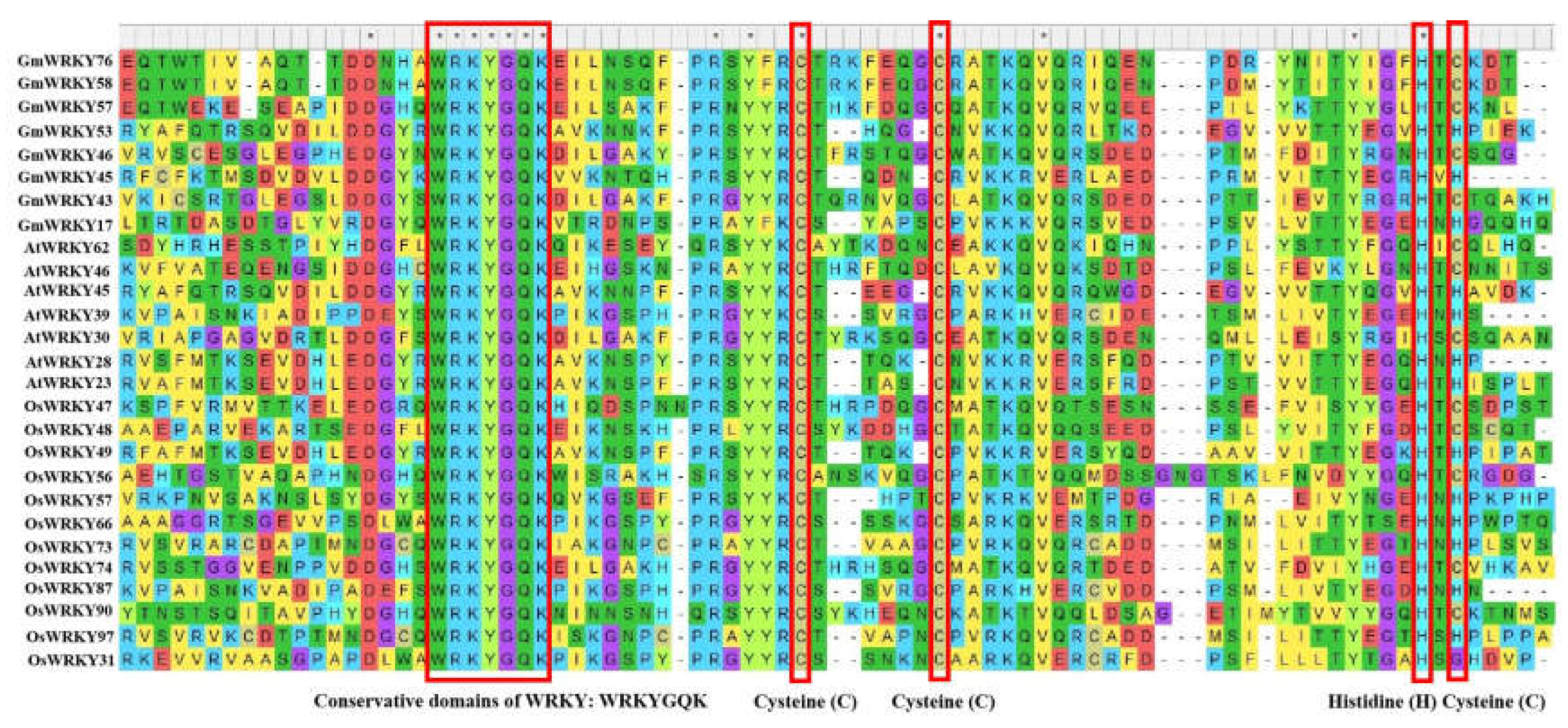 Preprints 108162 g001