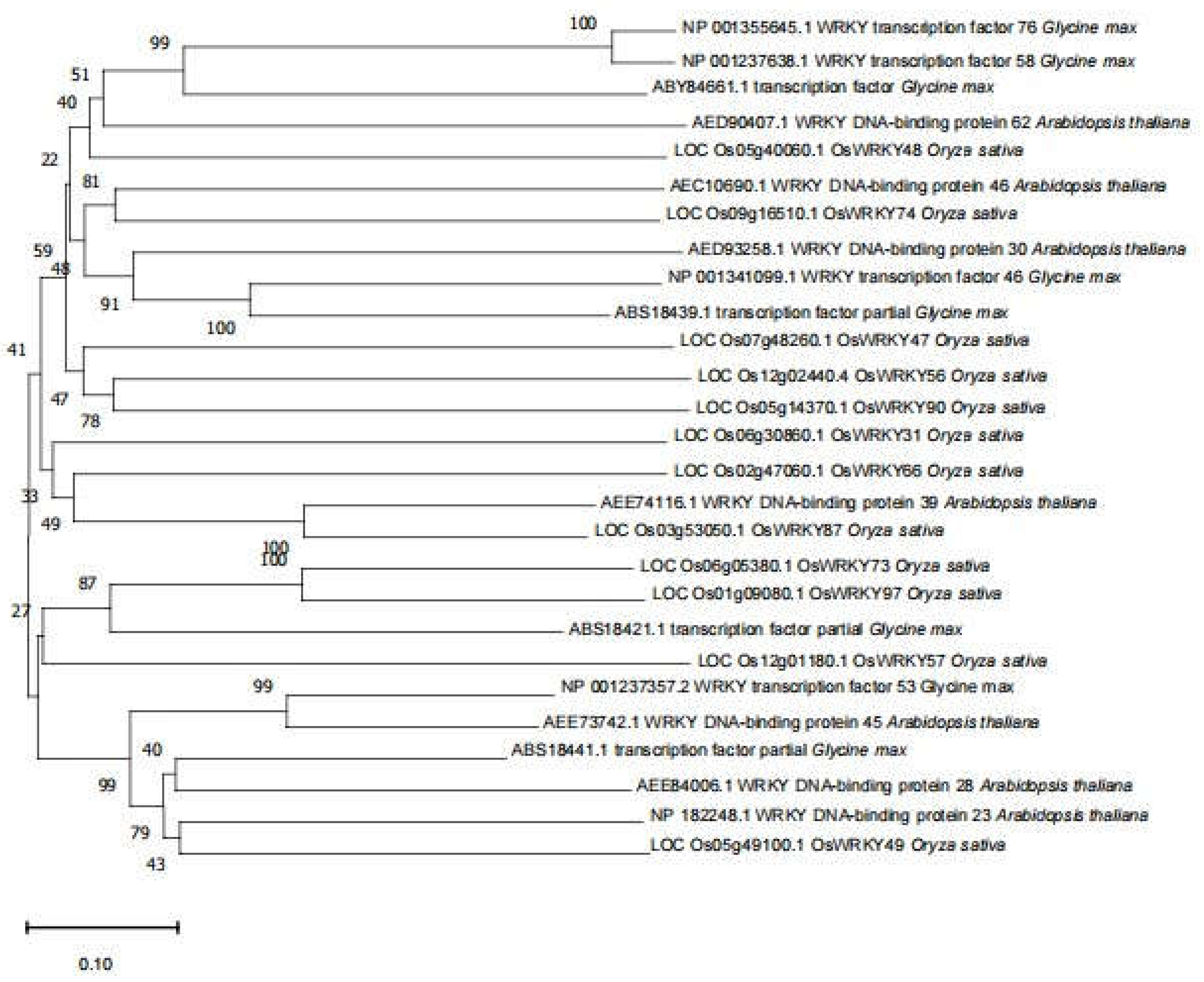 Preprints 108162 g004