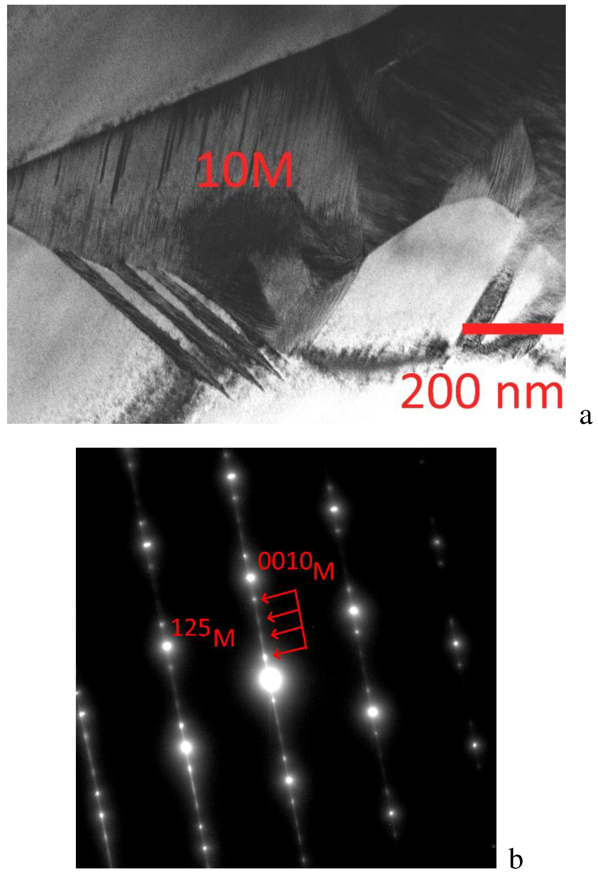 Preprints 89261 g010