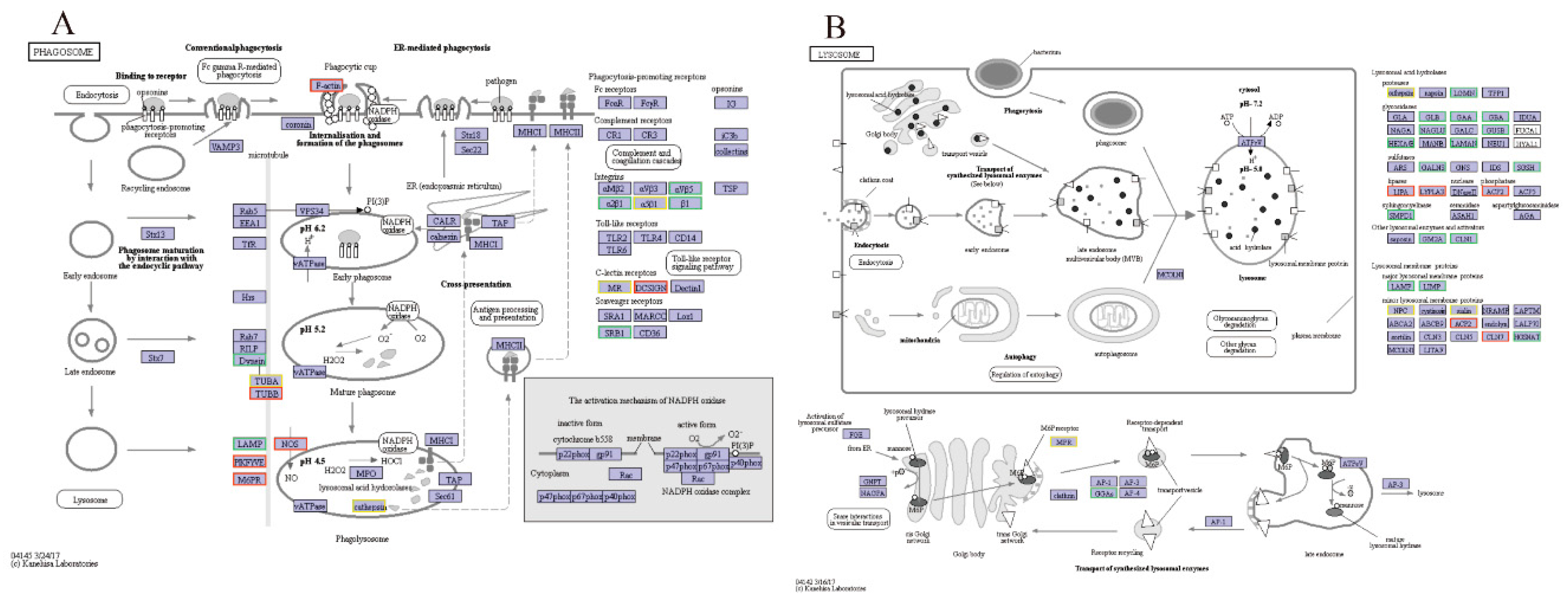 Preprints 72674 g004