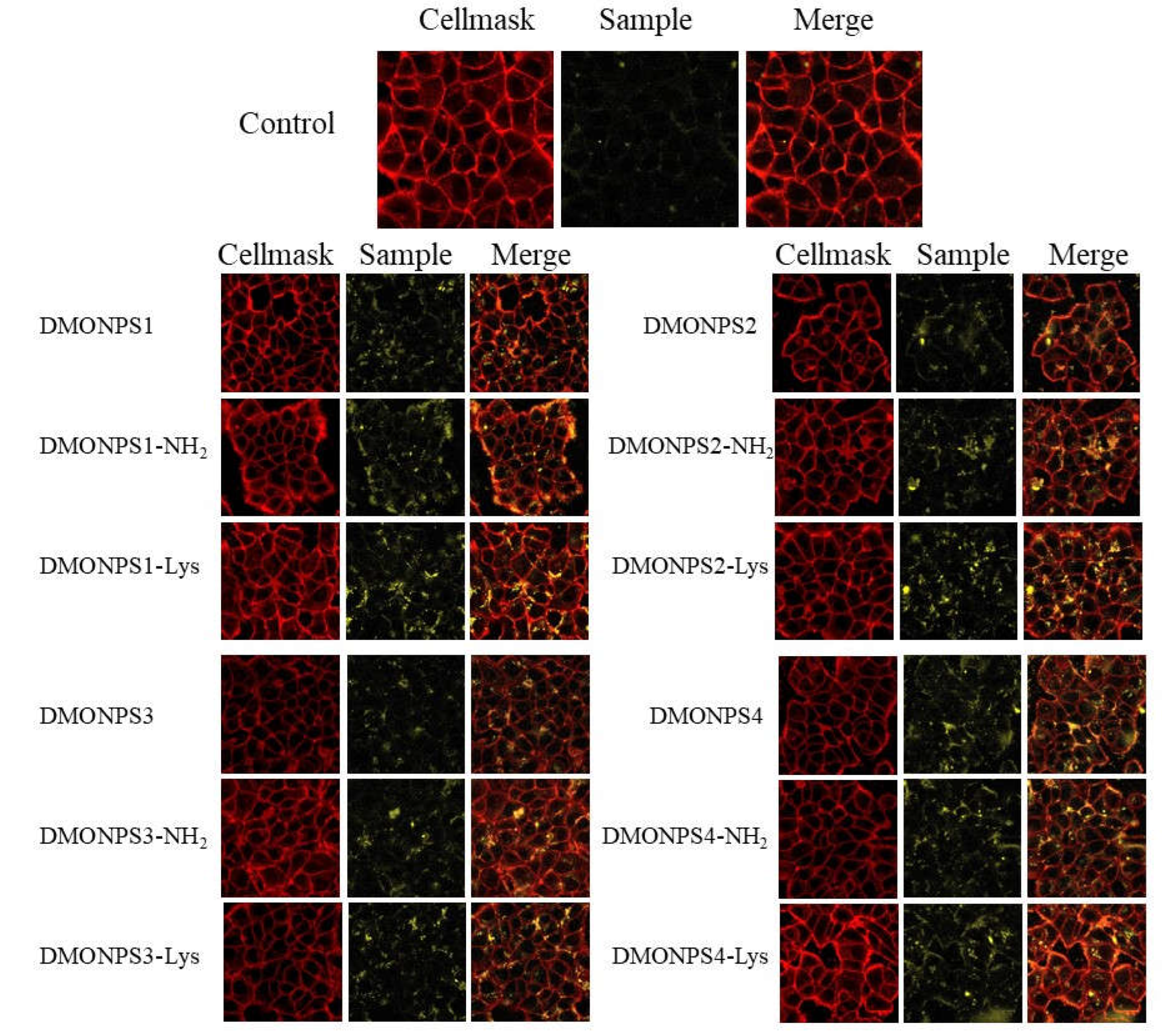 Preprints 74736 g005