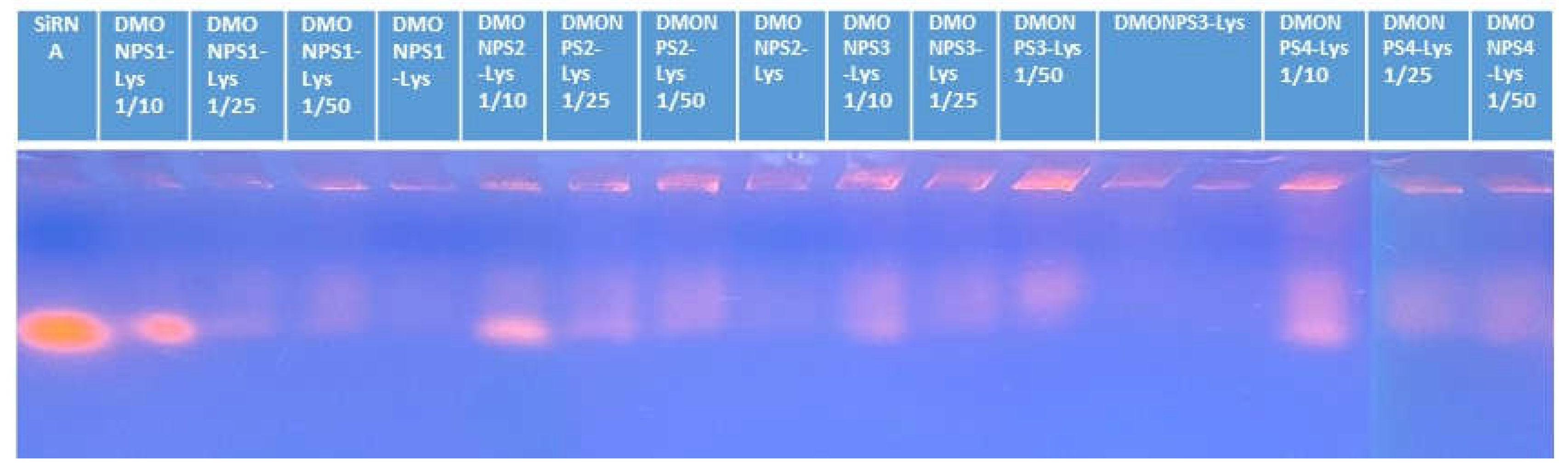 Preprints 74736 g007