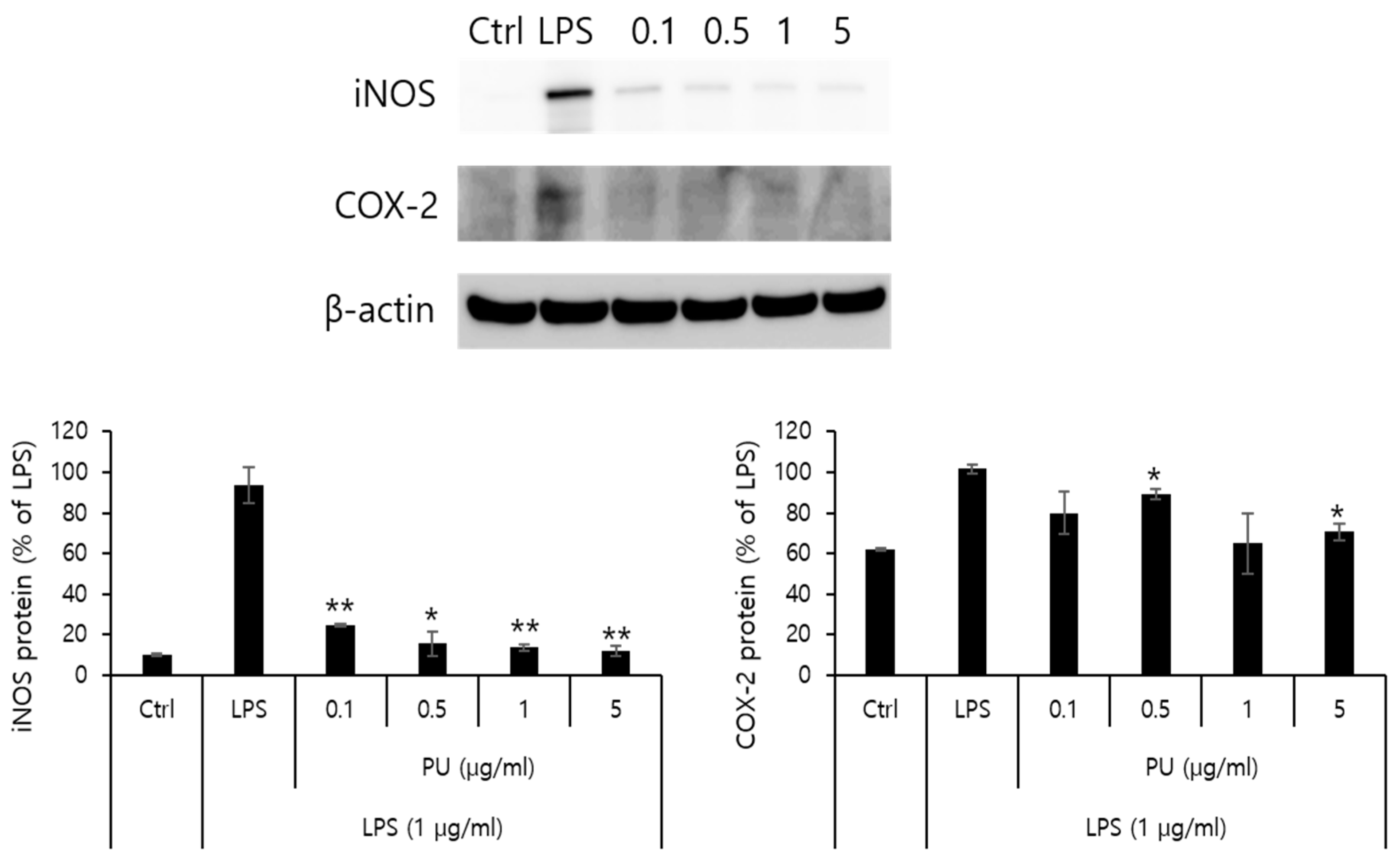 Preprints 89138 g006