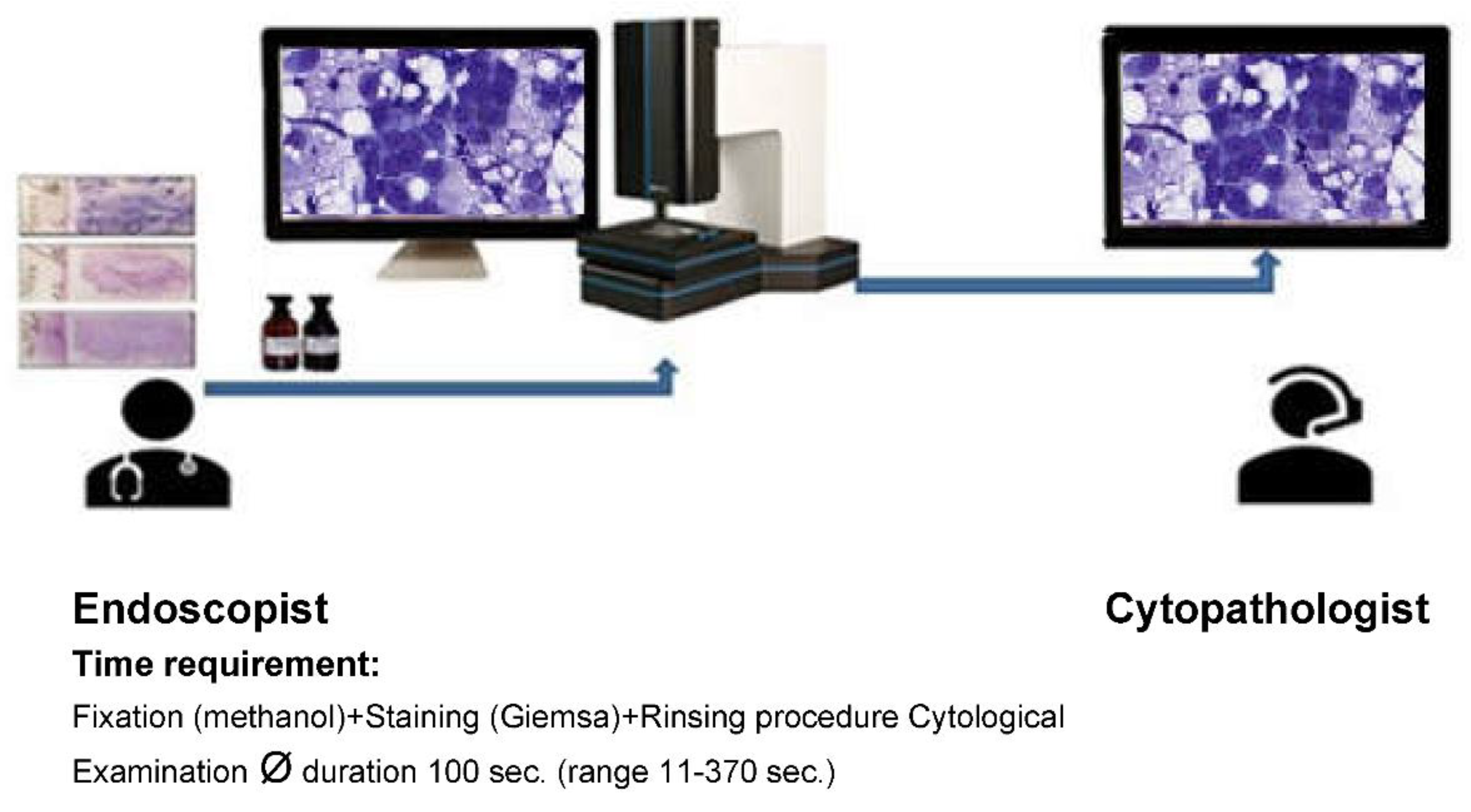 Preprints 86176 g002