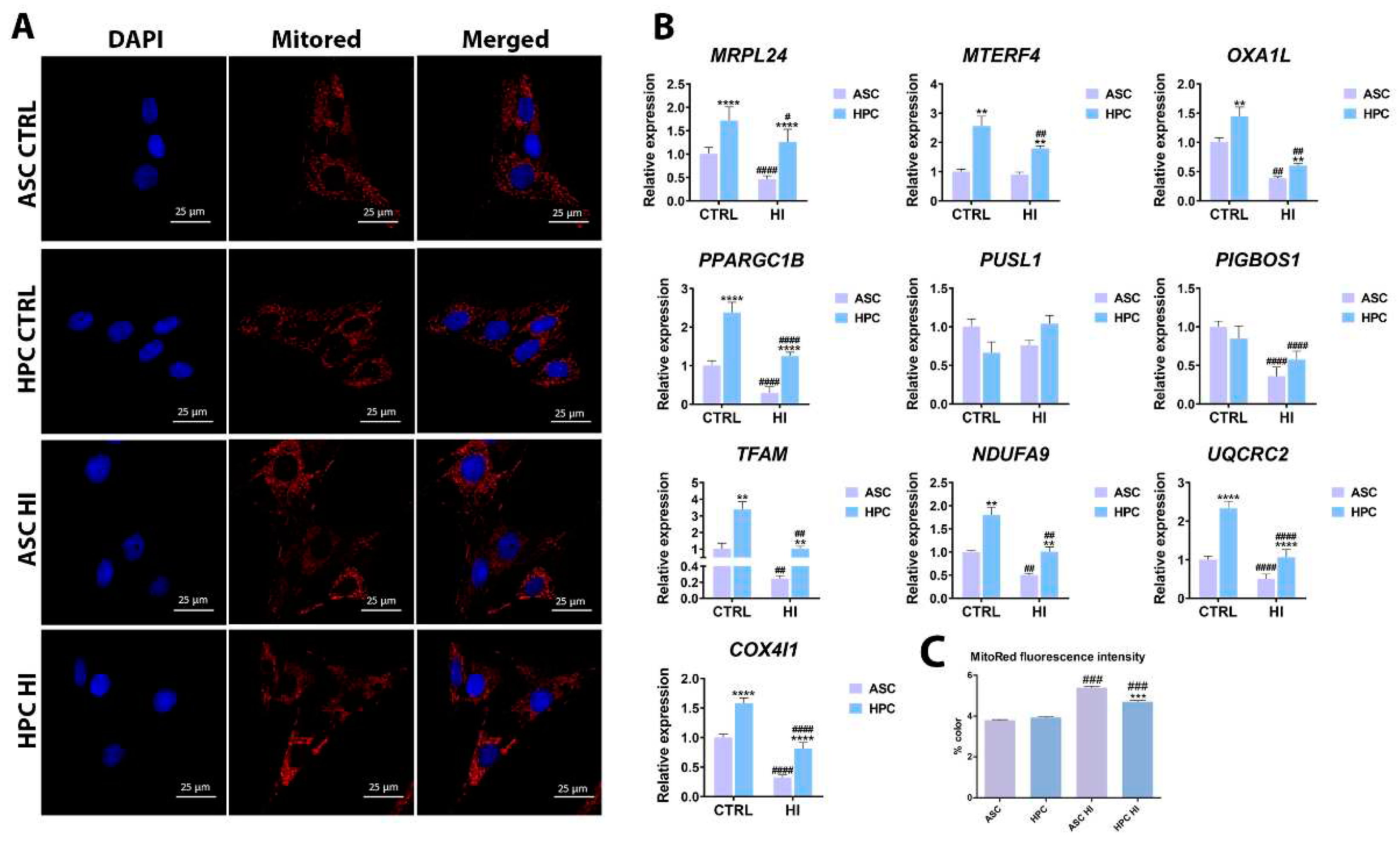 Preprints 85905 g004