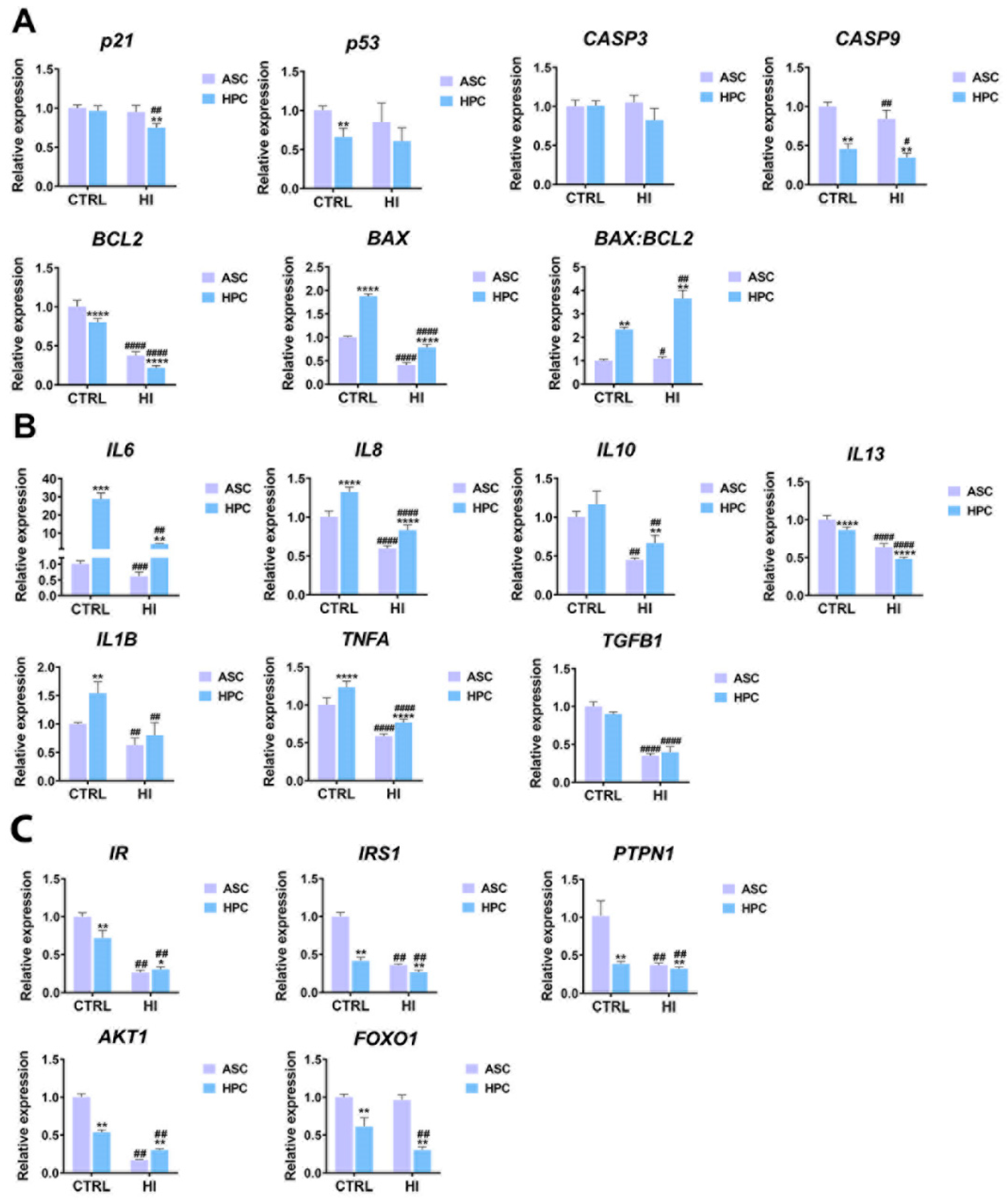 Preprints 85905 g006