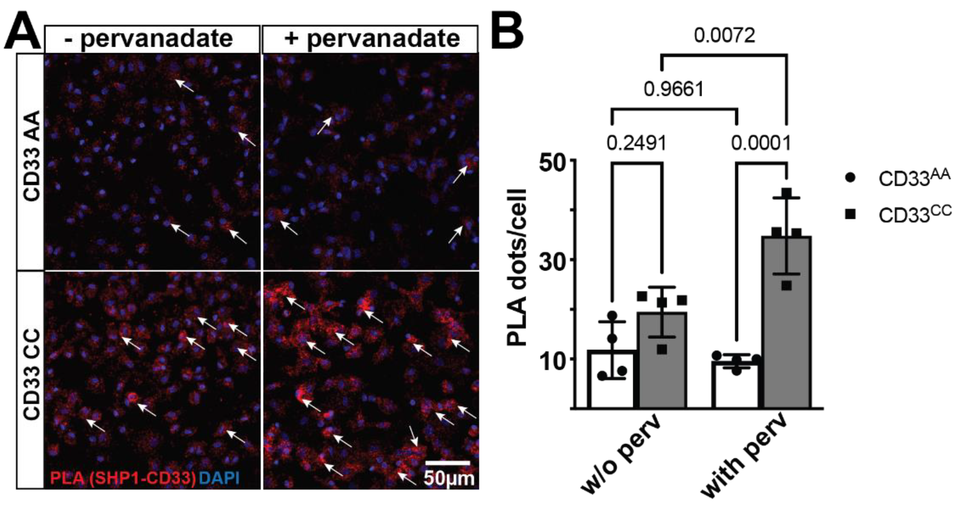 Preprints 110934 g001