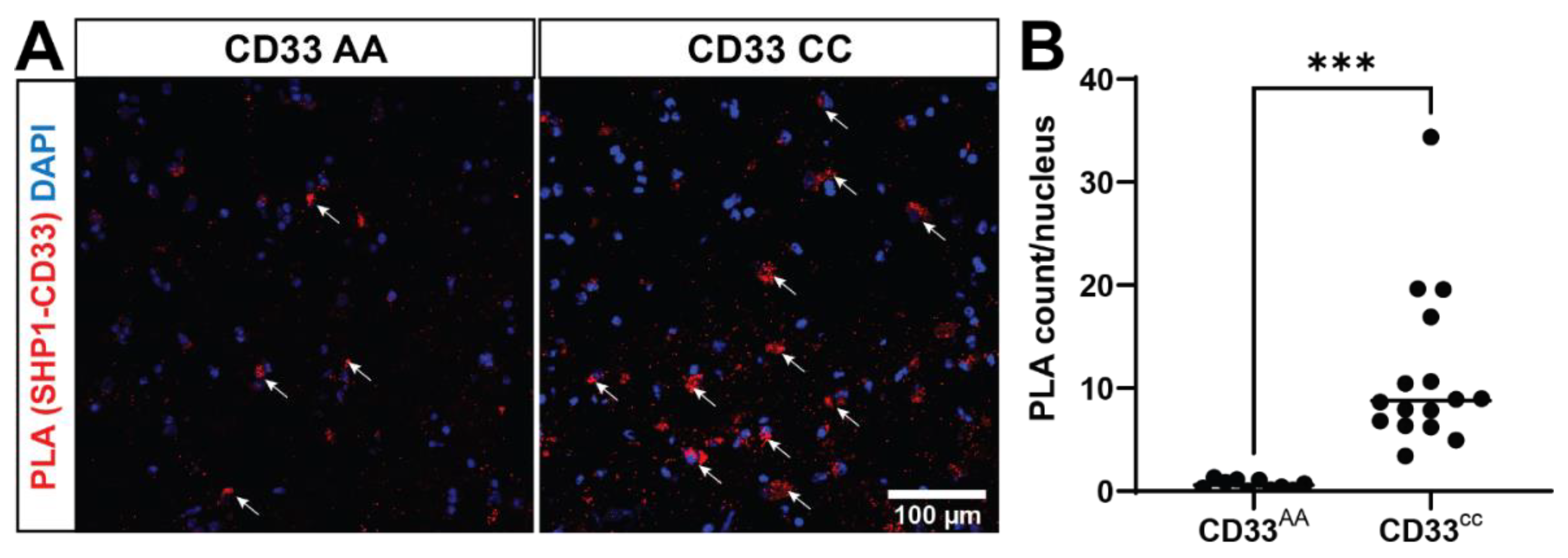 Preprints 110934 g002