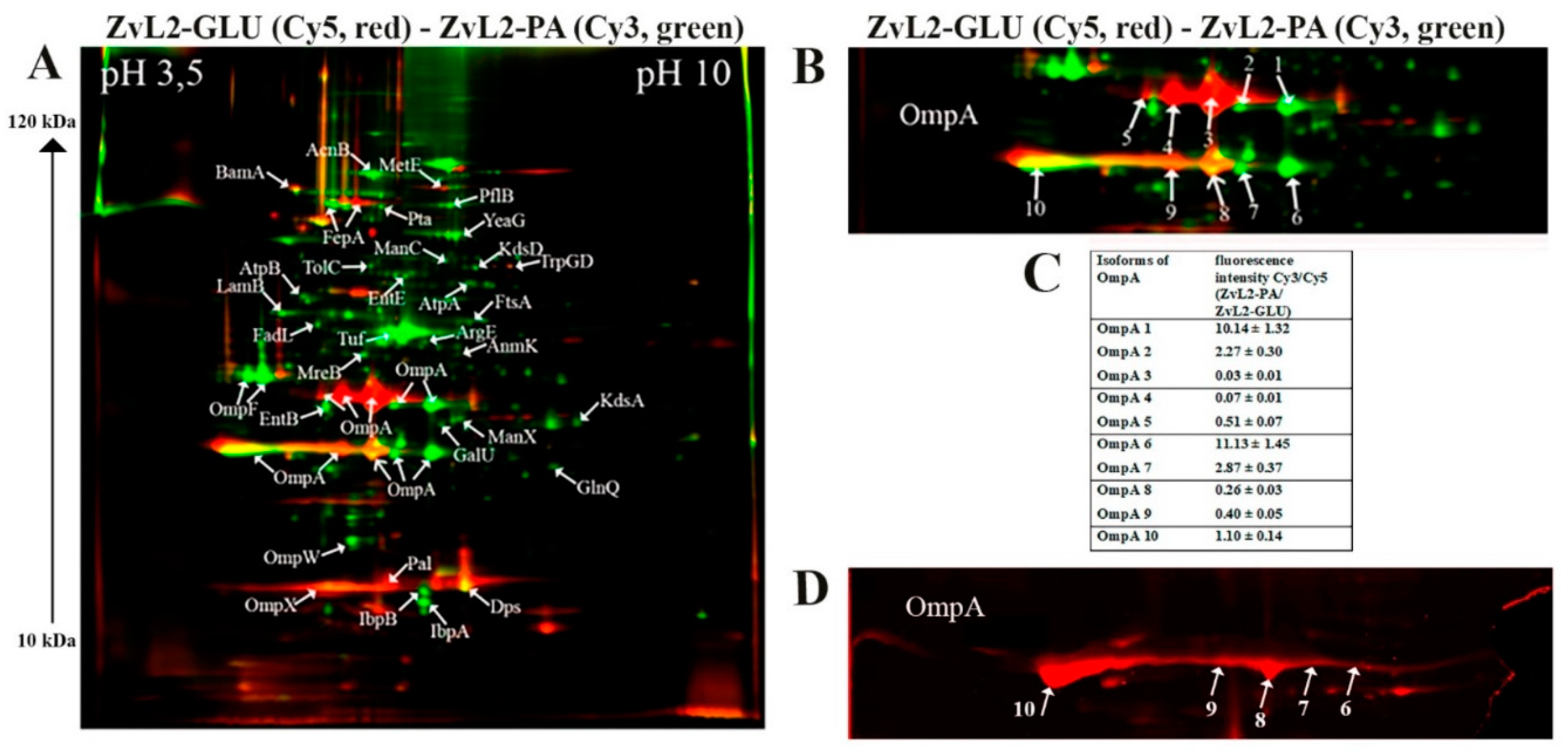 Preprints 115132 g002