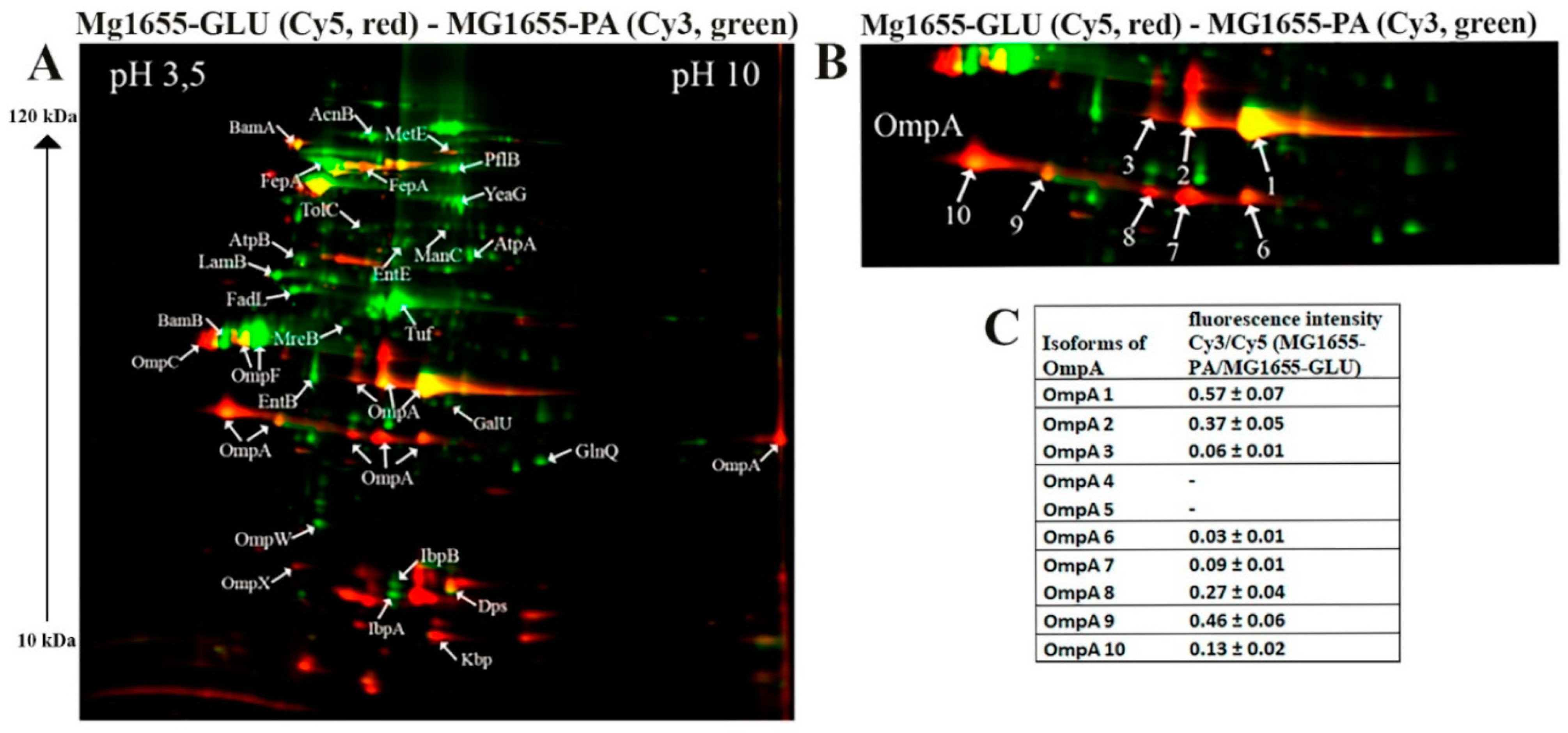 Preprints 115132 g003