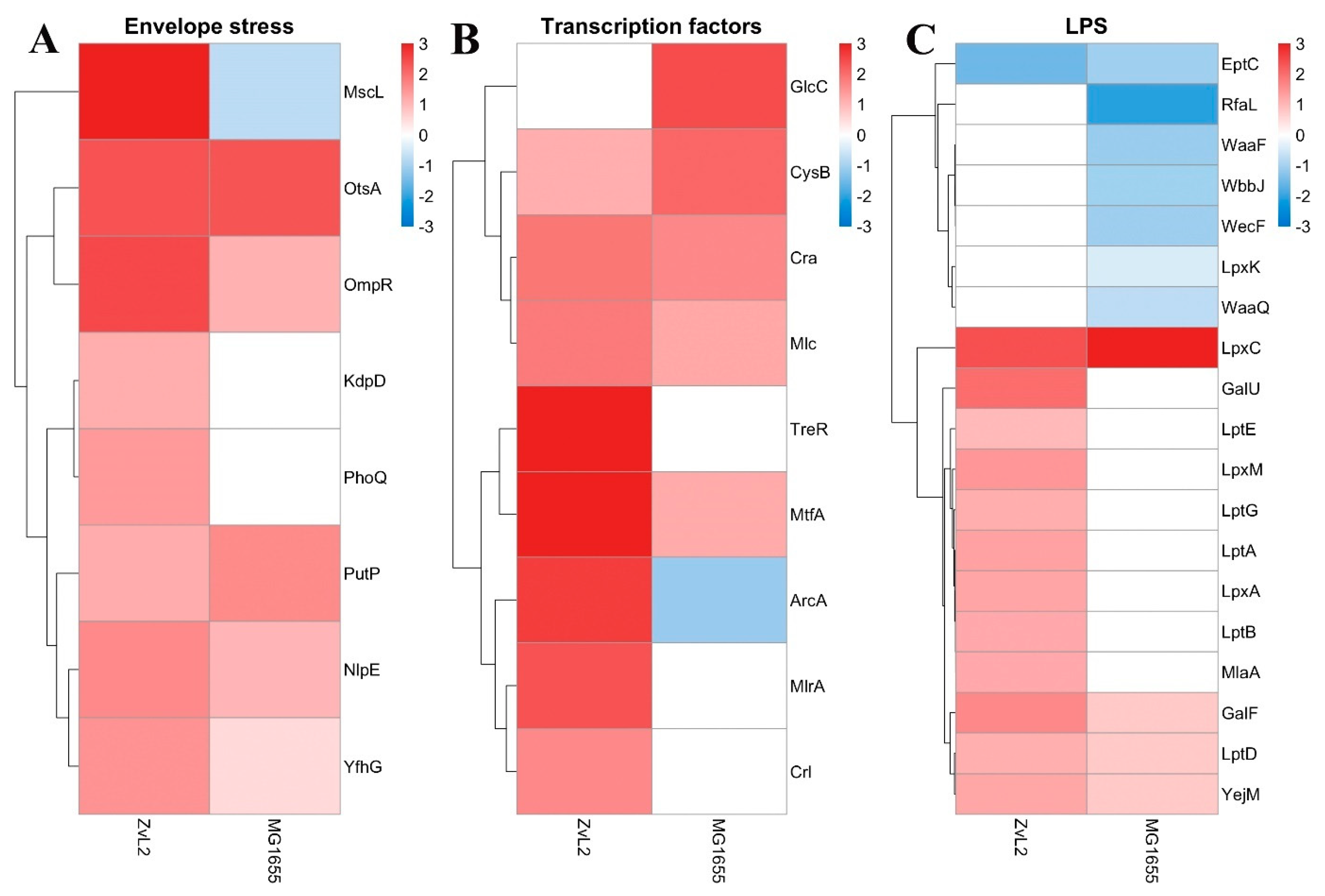 Preprints 115132 g008