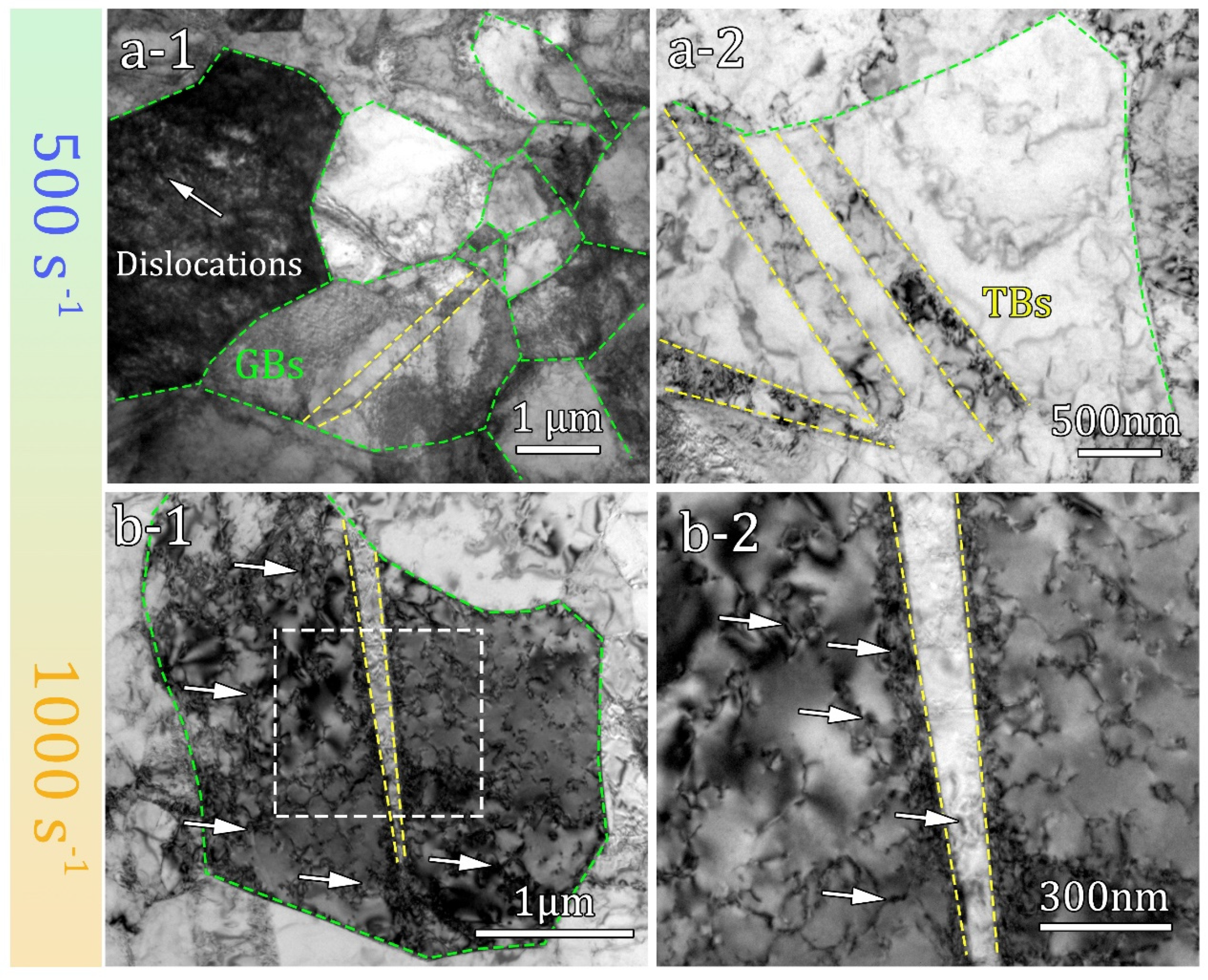 Preprints 87760 g006