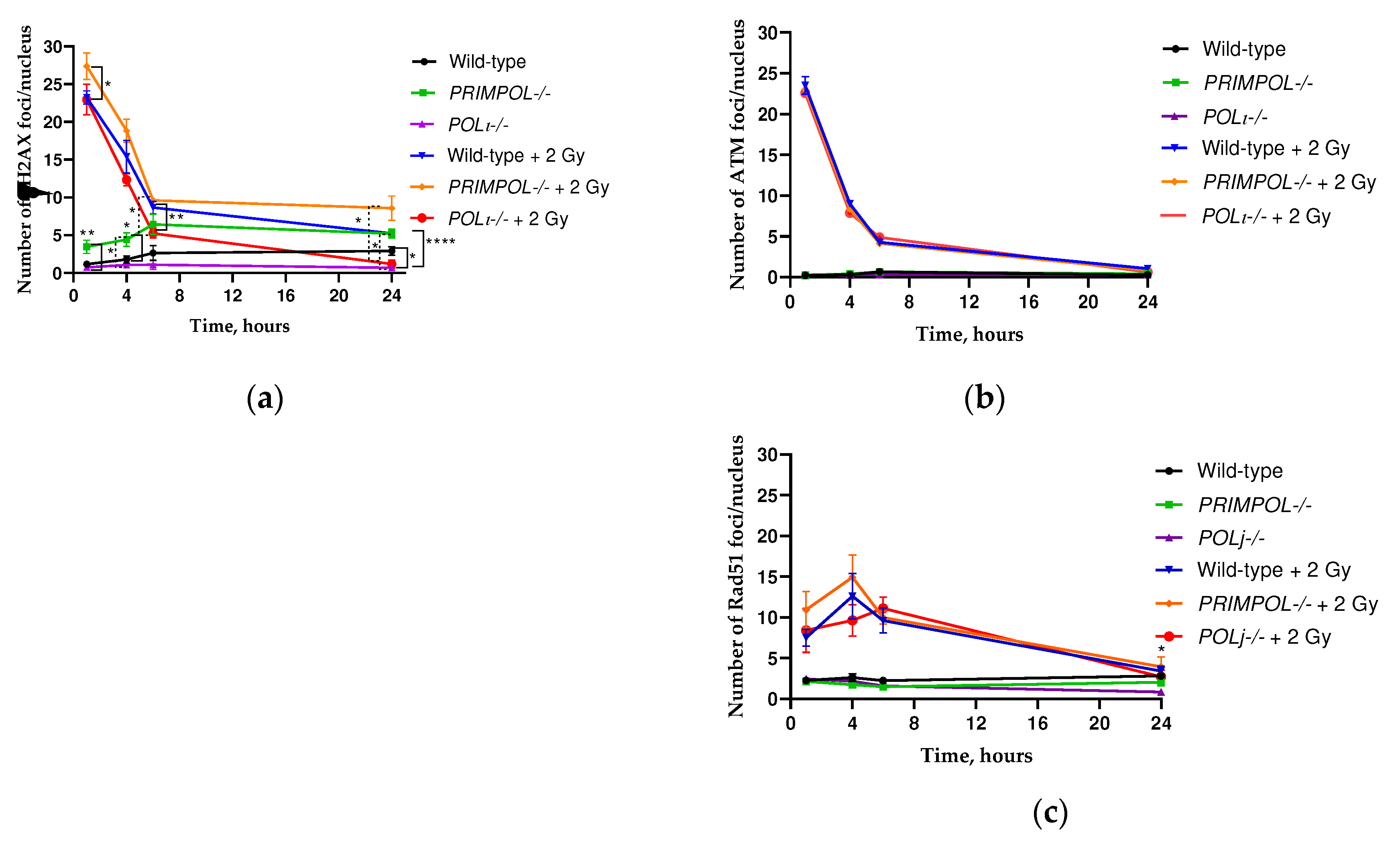 Preprints 90737 g005