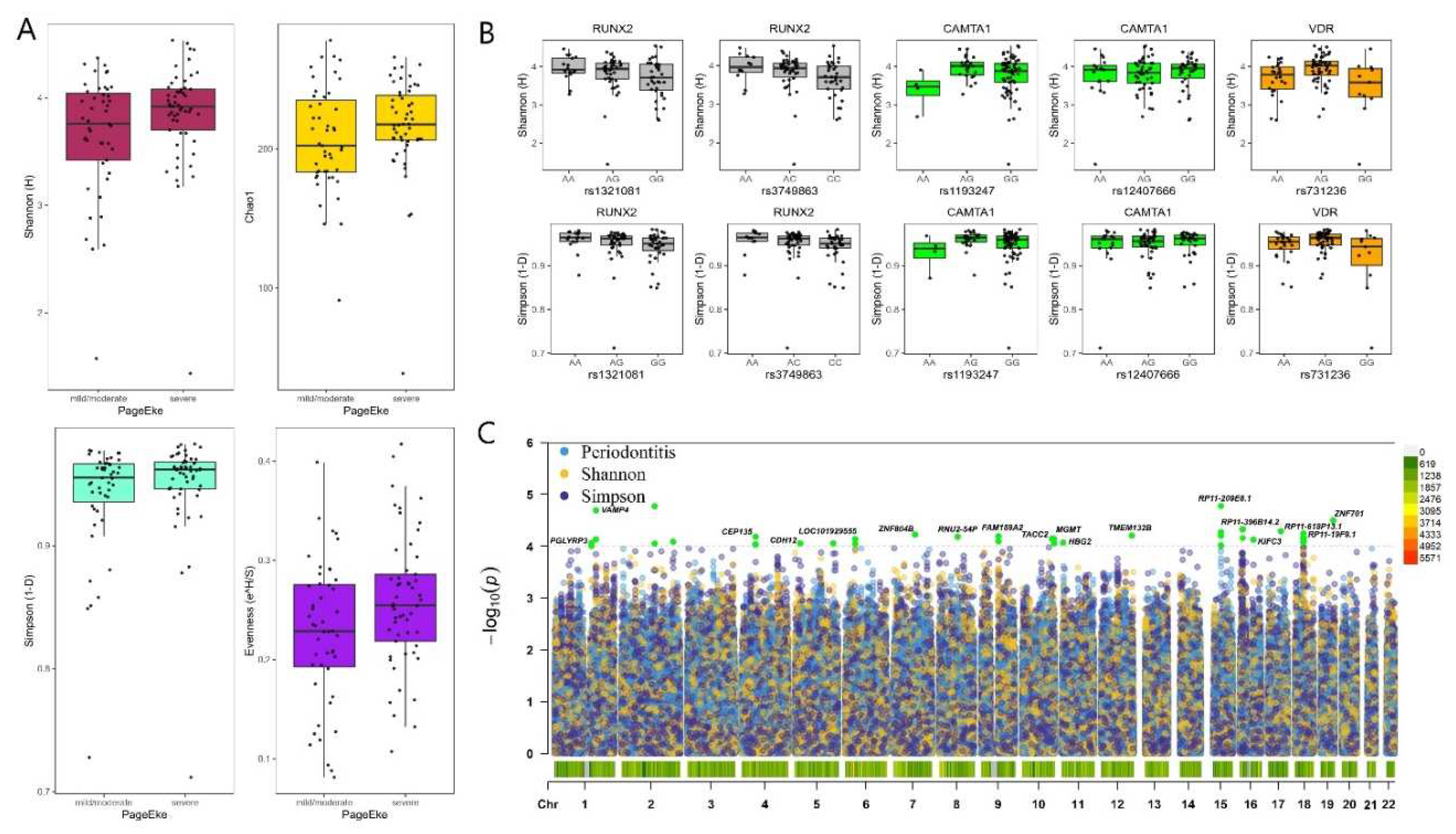 Preprints 86637 g001