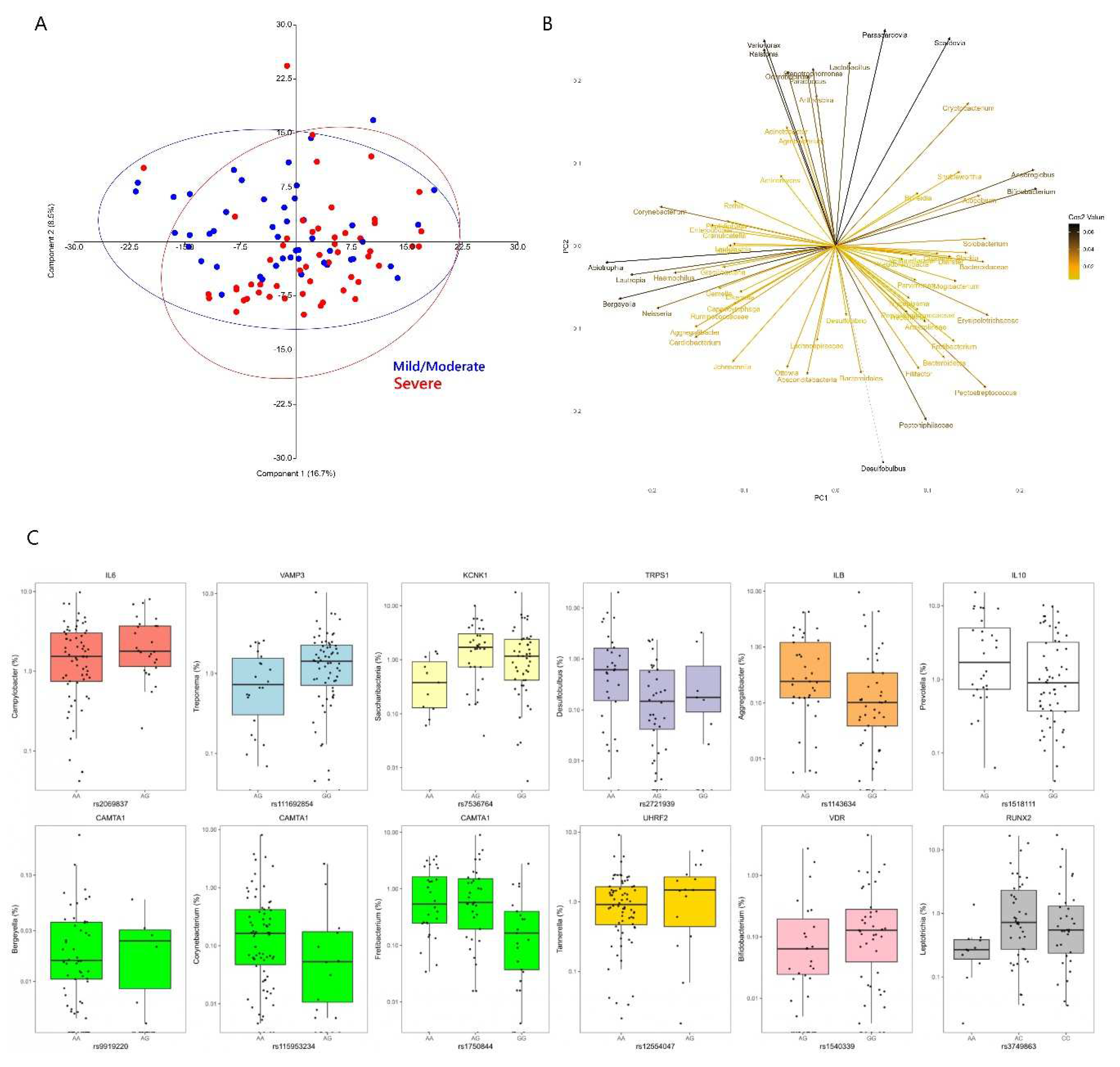 Preprints 86637 g002