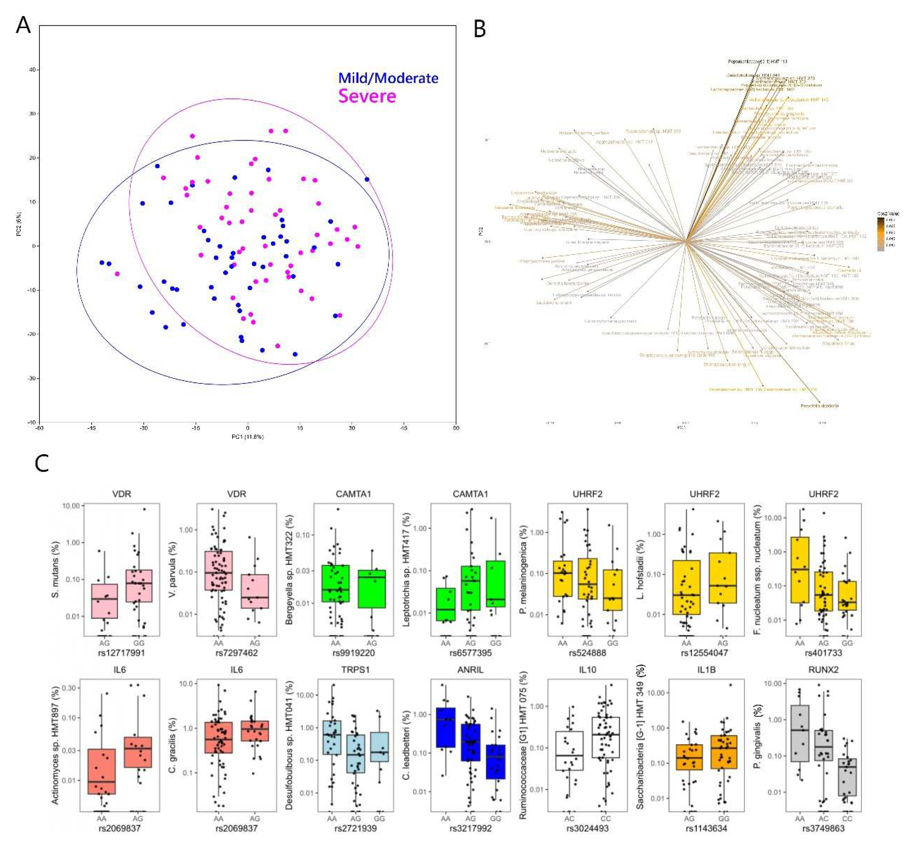 Preprints 86637 g004