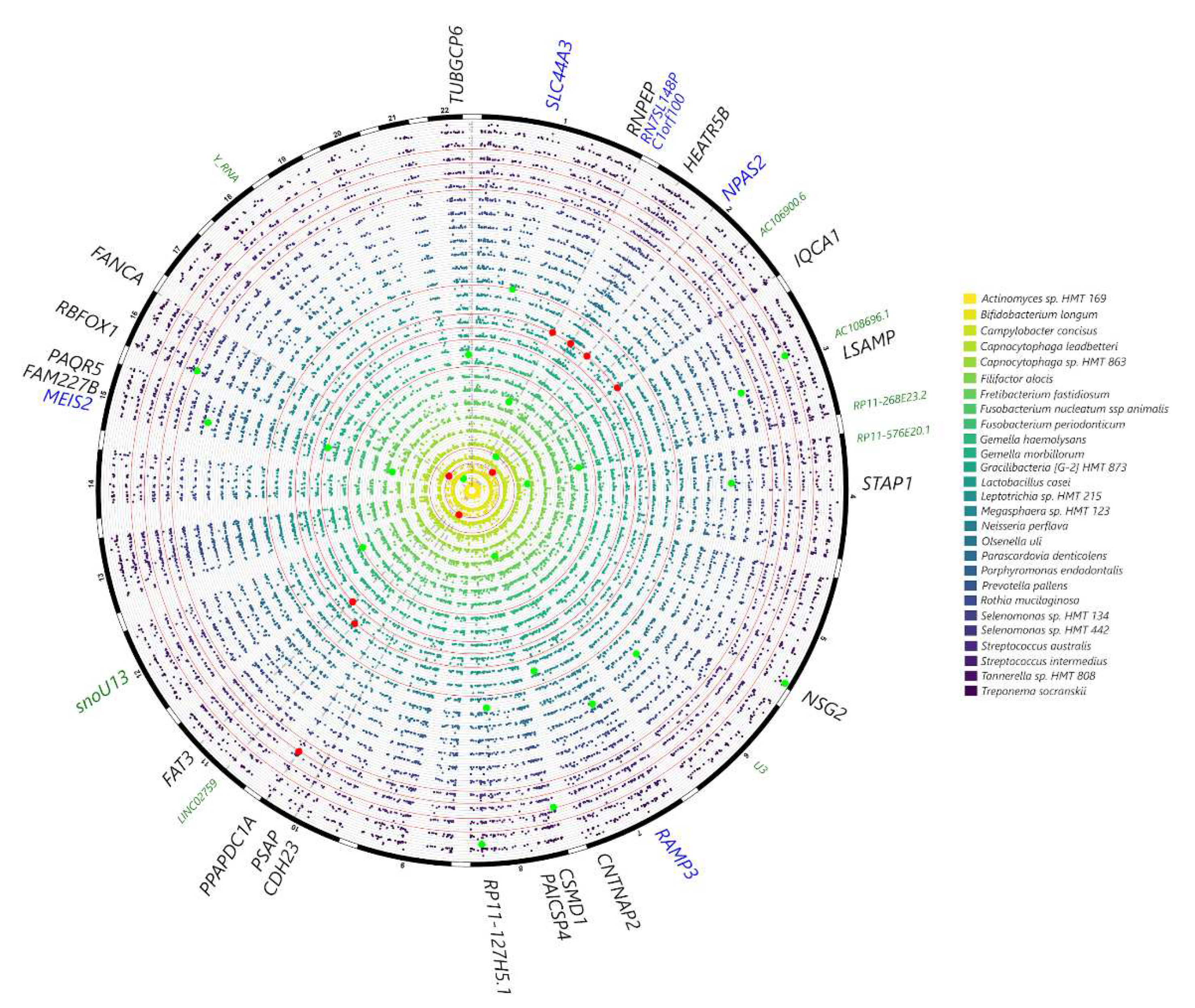 Preprints 86637 g005