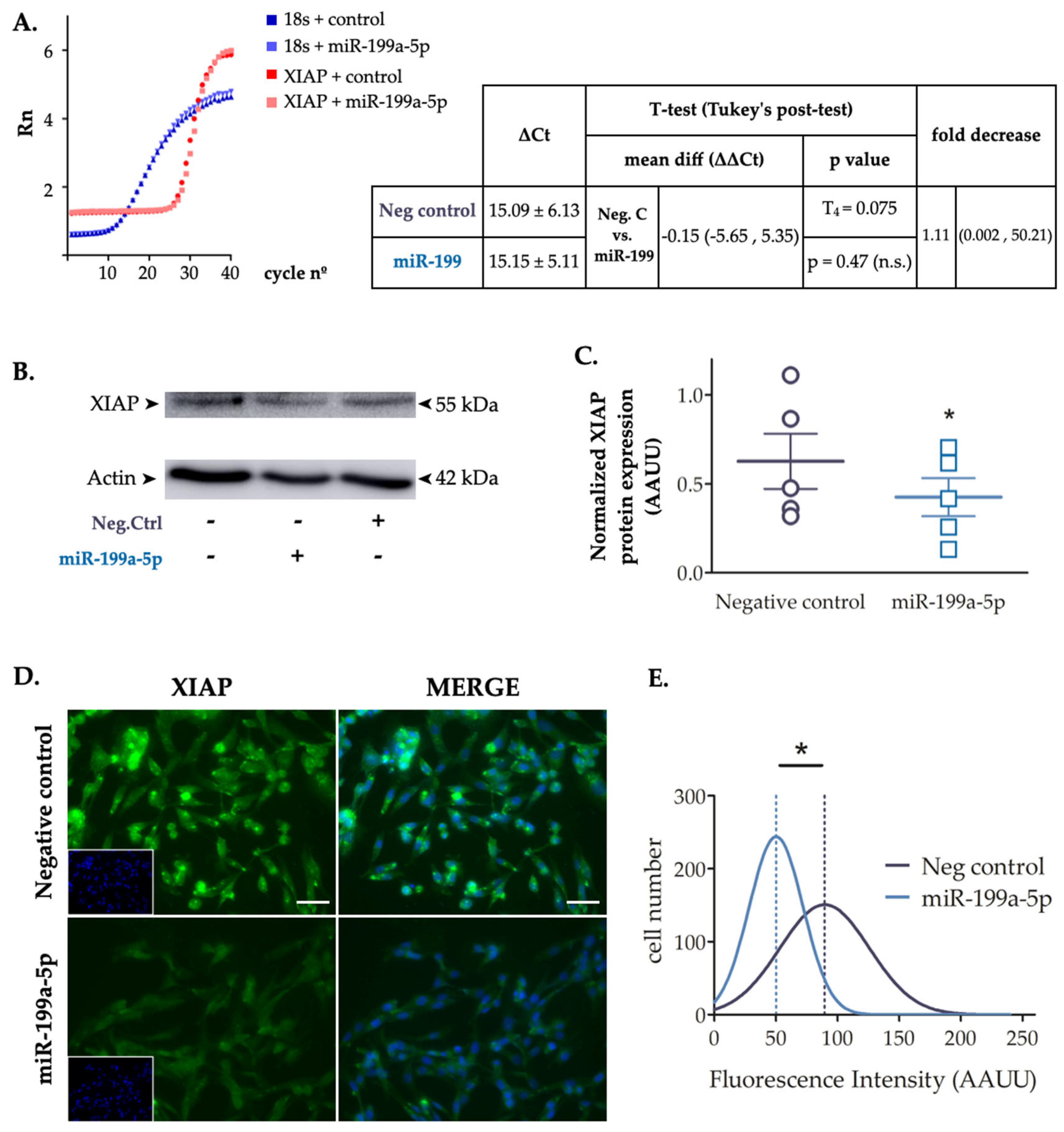 Preprints 67264 g003