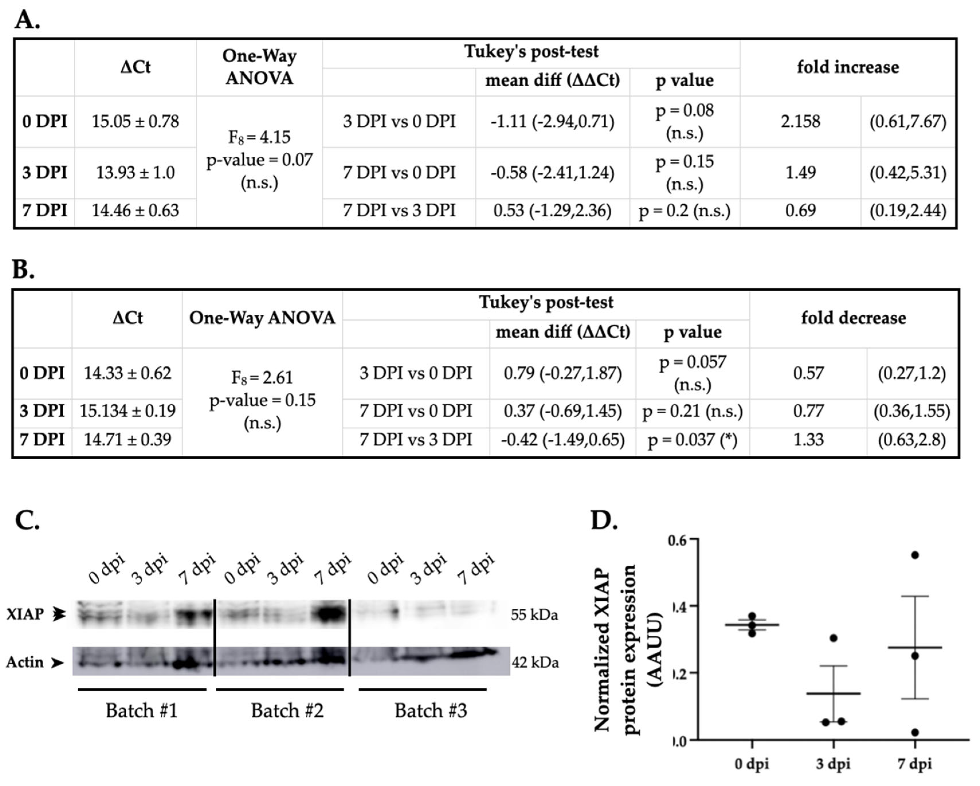 Preprints 67264 g004