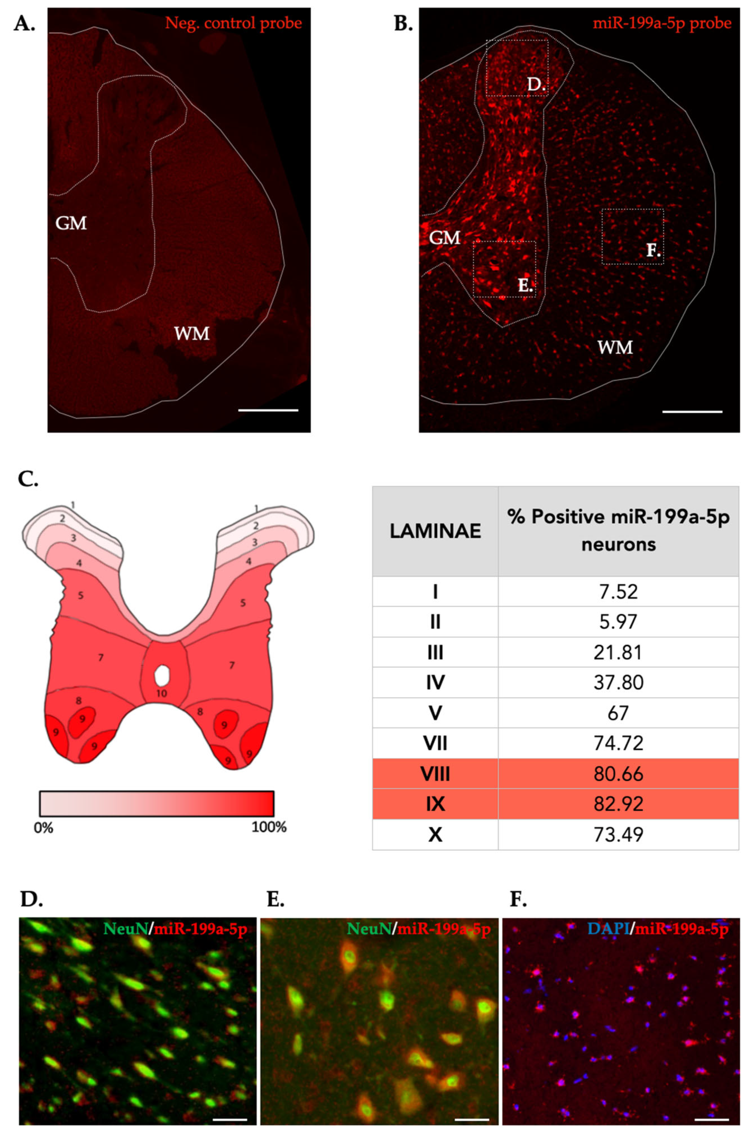 Preprints 67264 g005