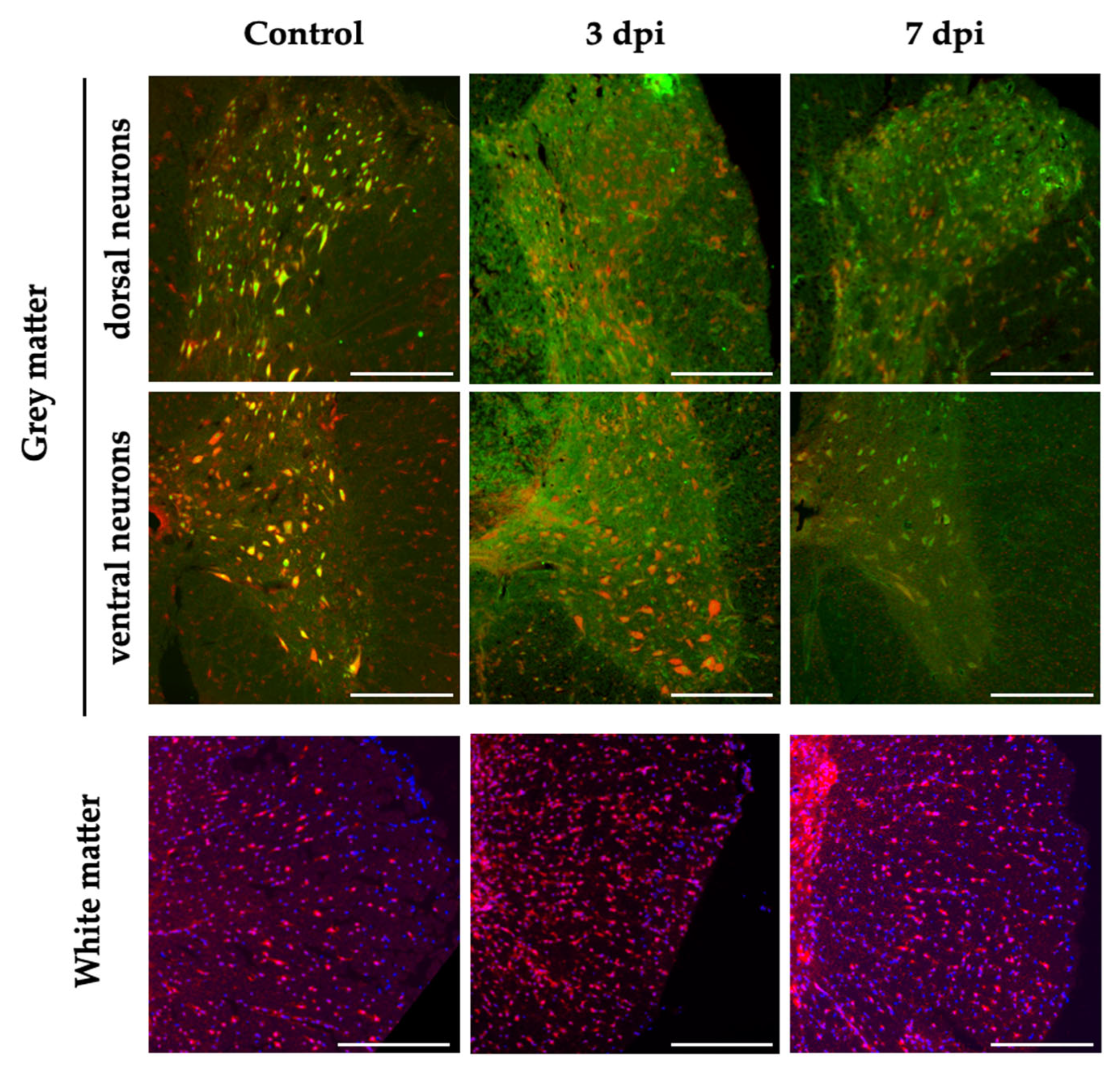 Preprints 67264 g006