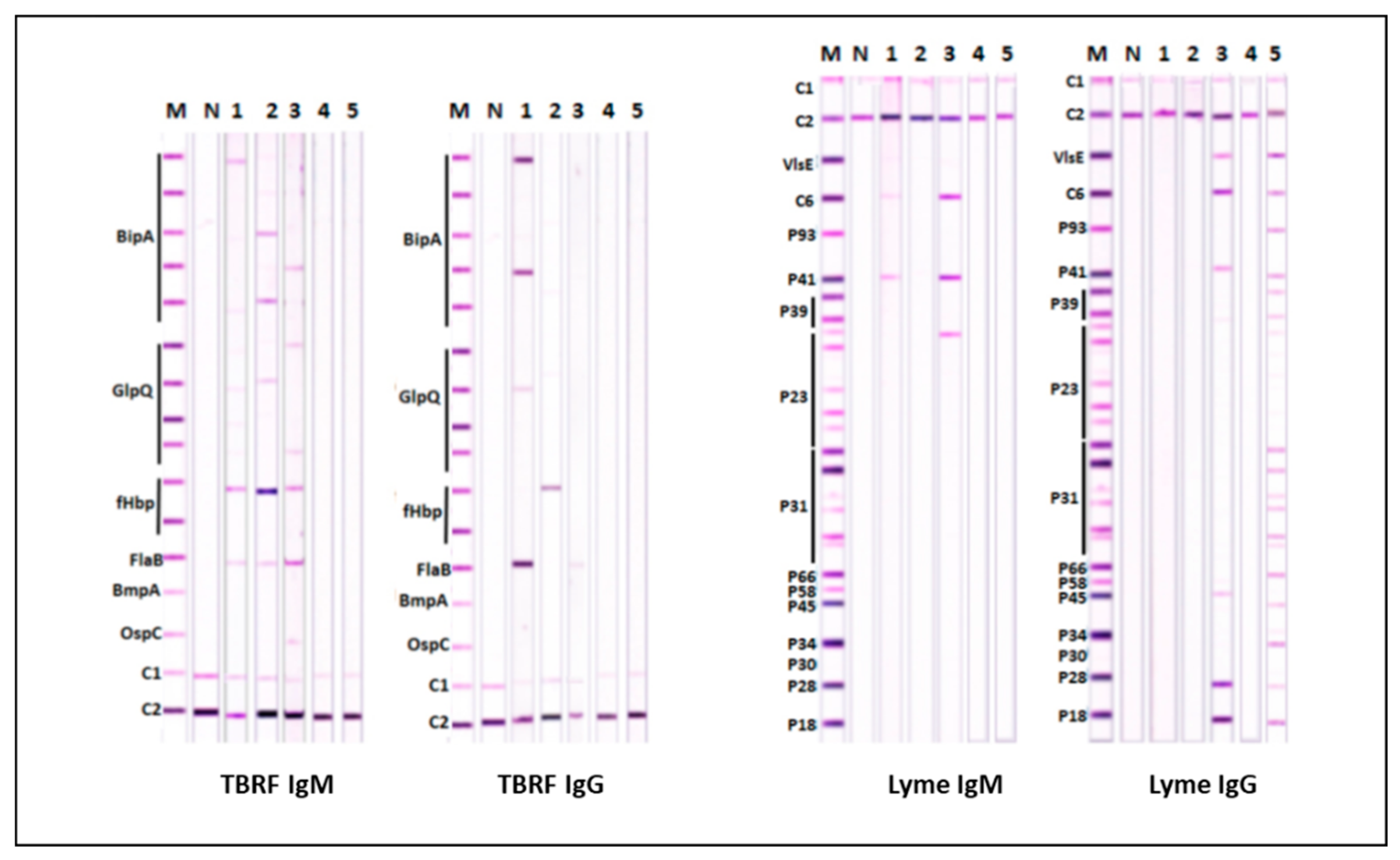 Preprints 97394 g005