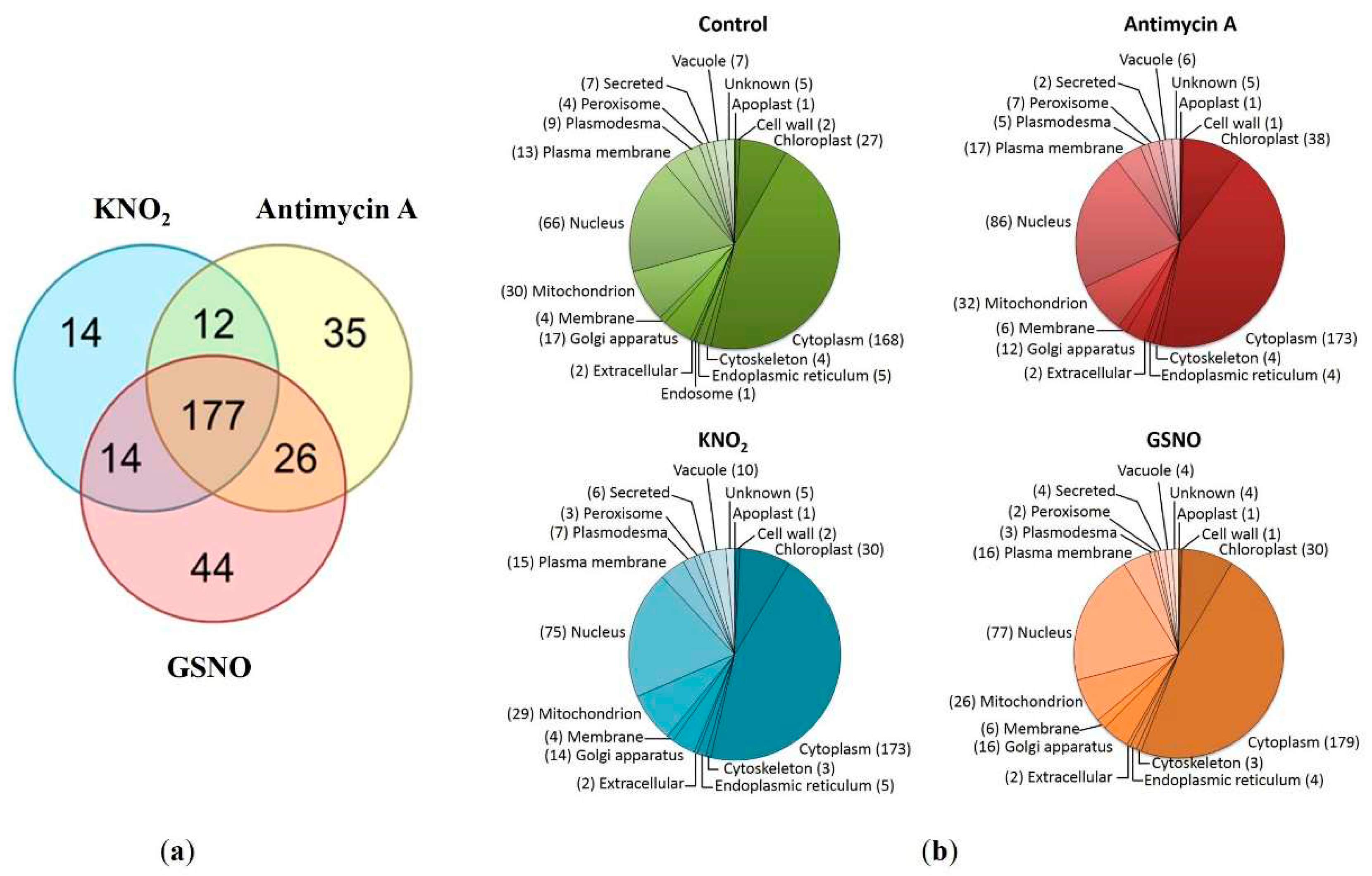 Preprints 82376 g002