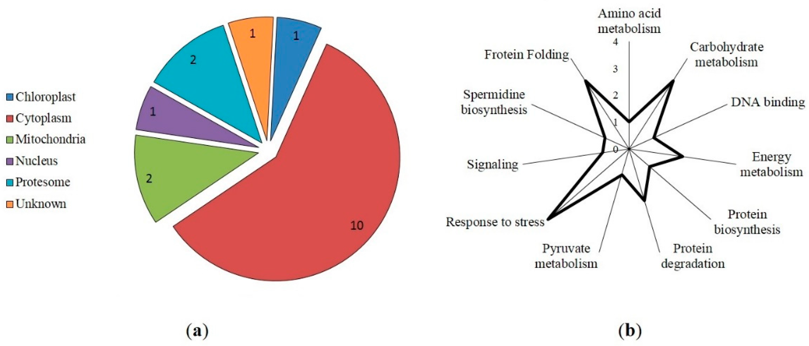 Preprints 82376 g004