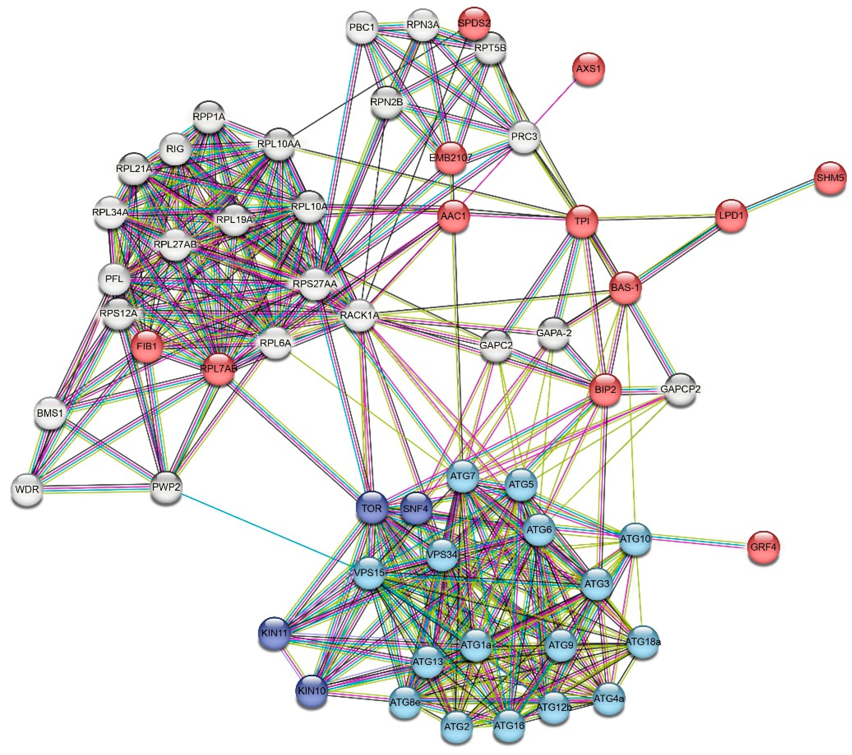 Preprints 82376 g006