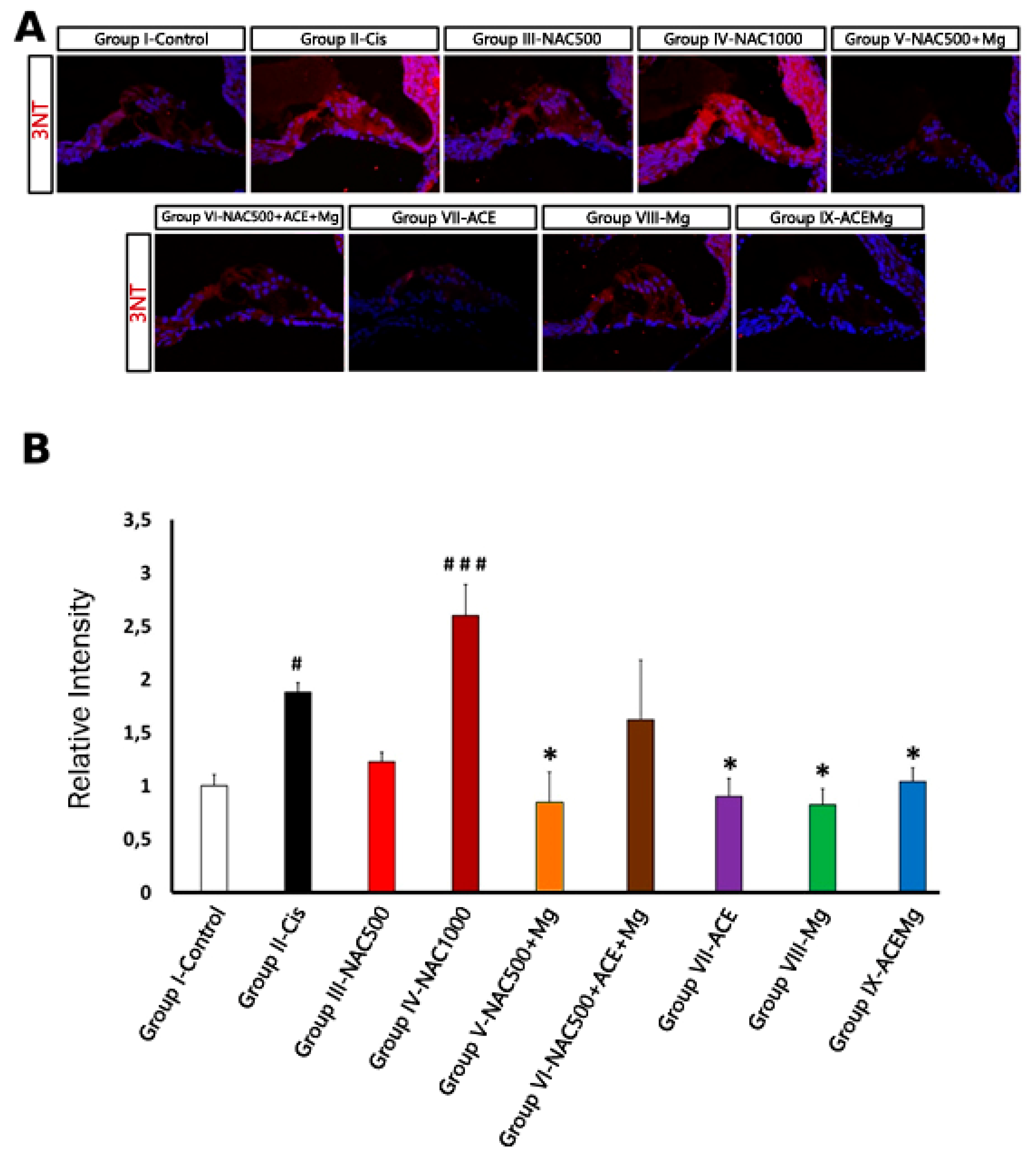 Preprints 106489 g004