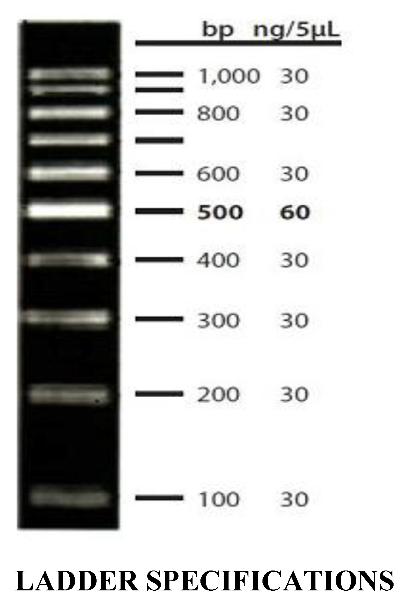 Preprints 79617 i001