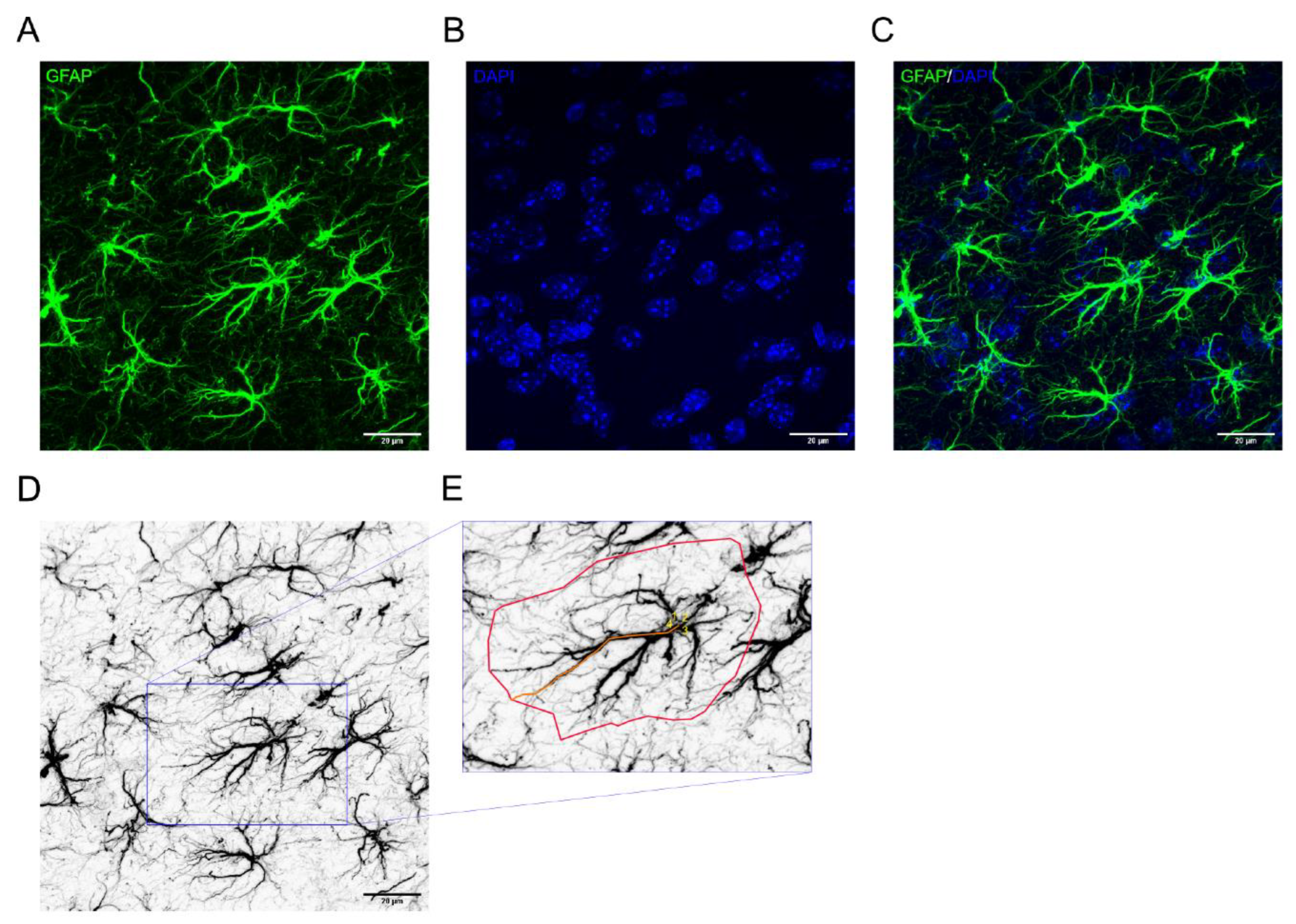 Preprints 118385 g001