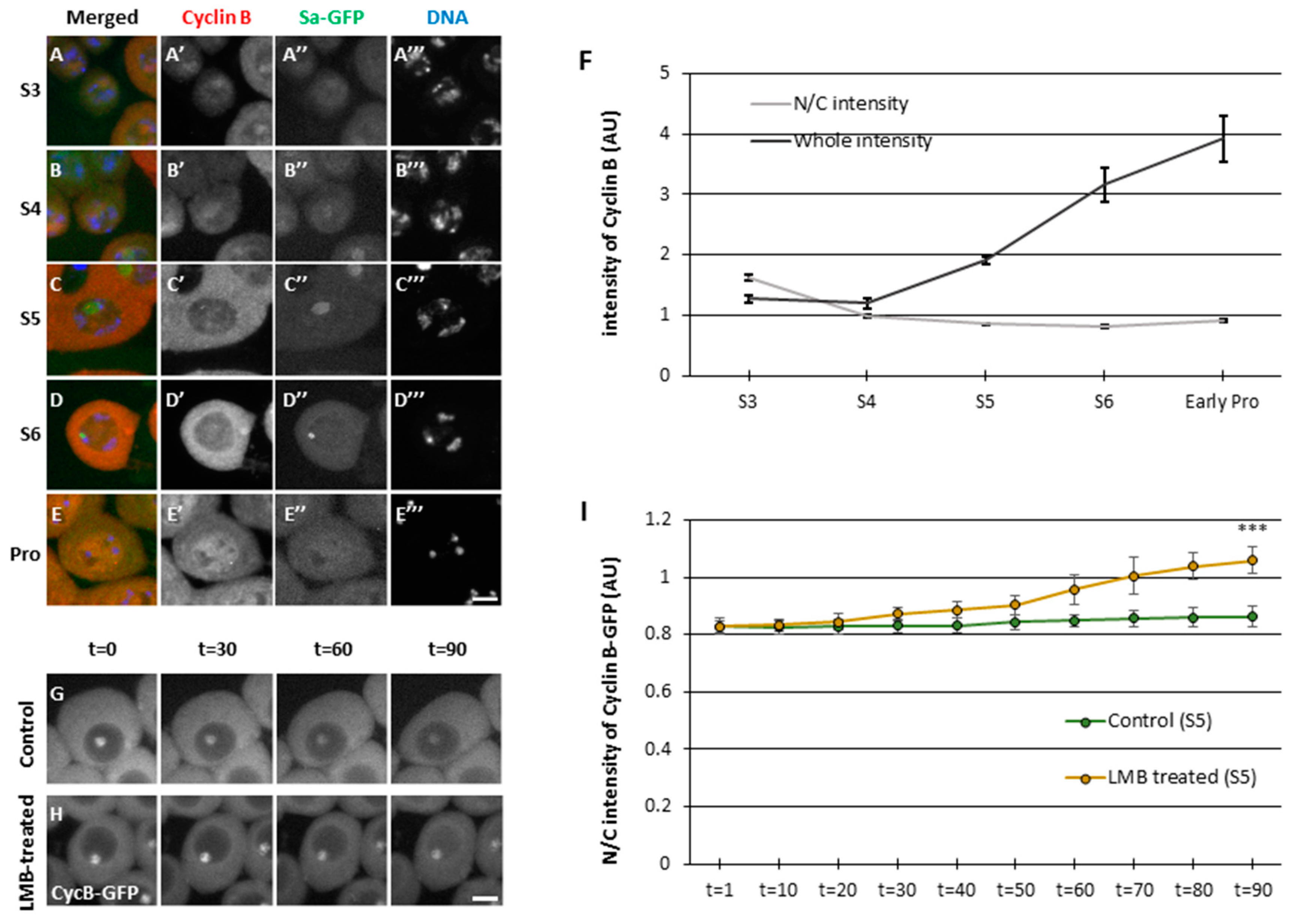 Preprints 87571 g001