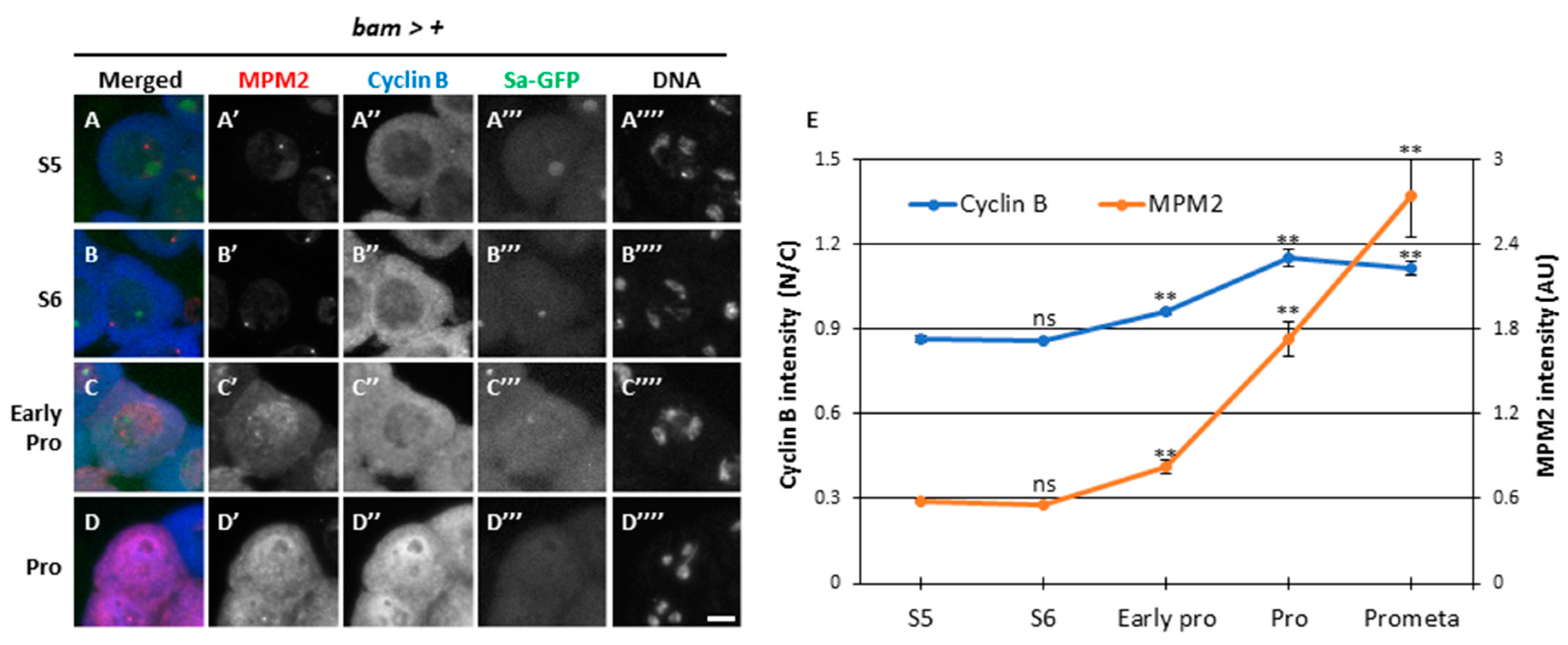 Preprints 87571 g003